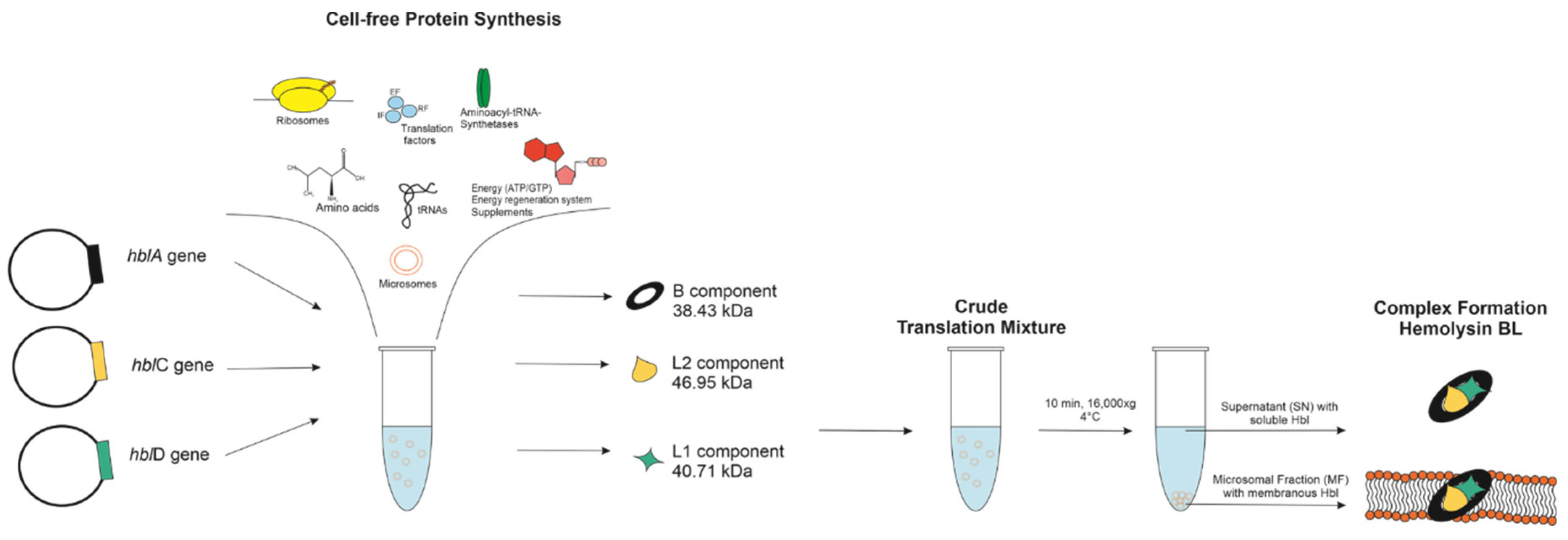 Toxins 13 00807 g001