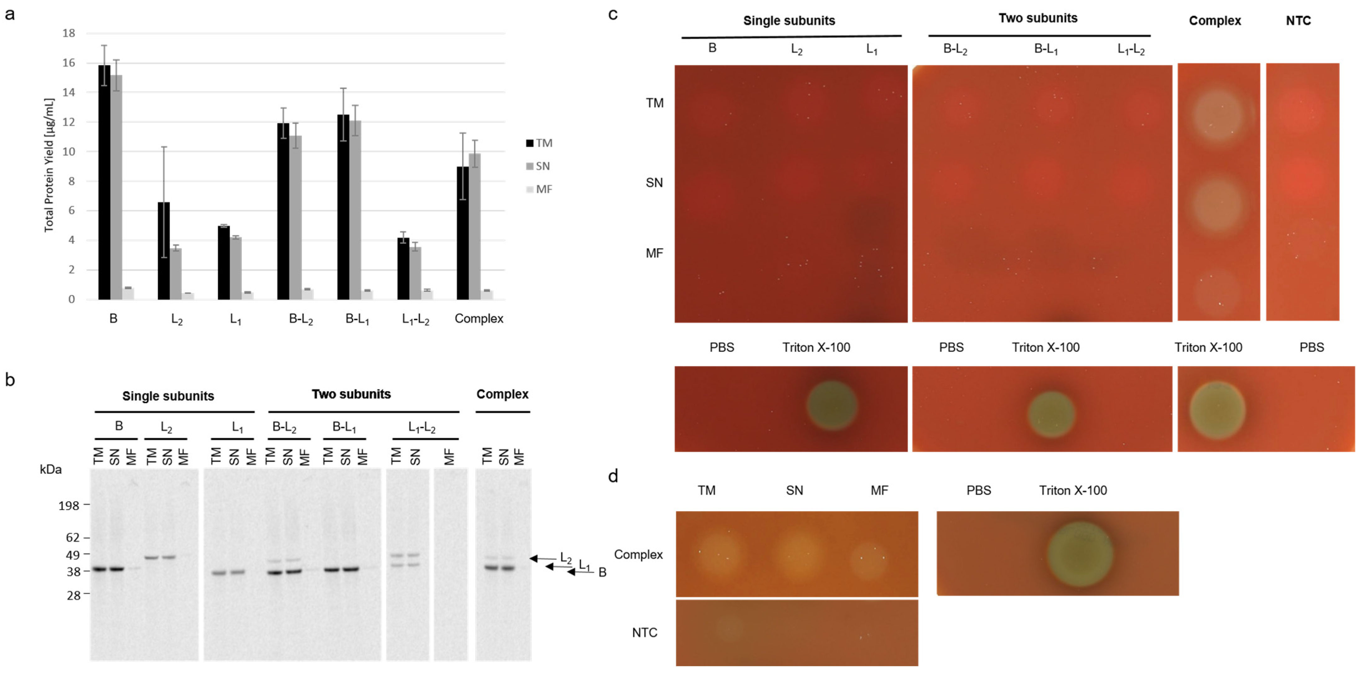 Toxins 13 00807 g002