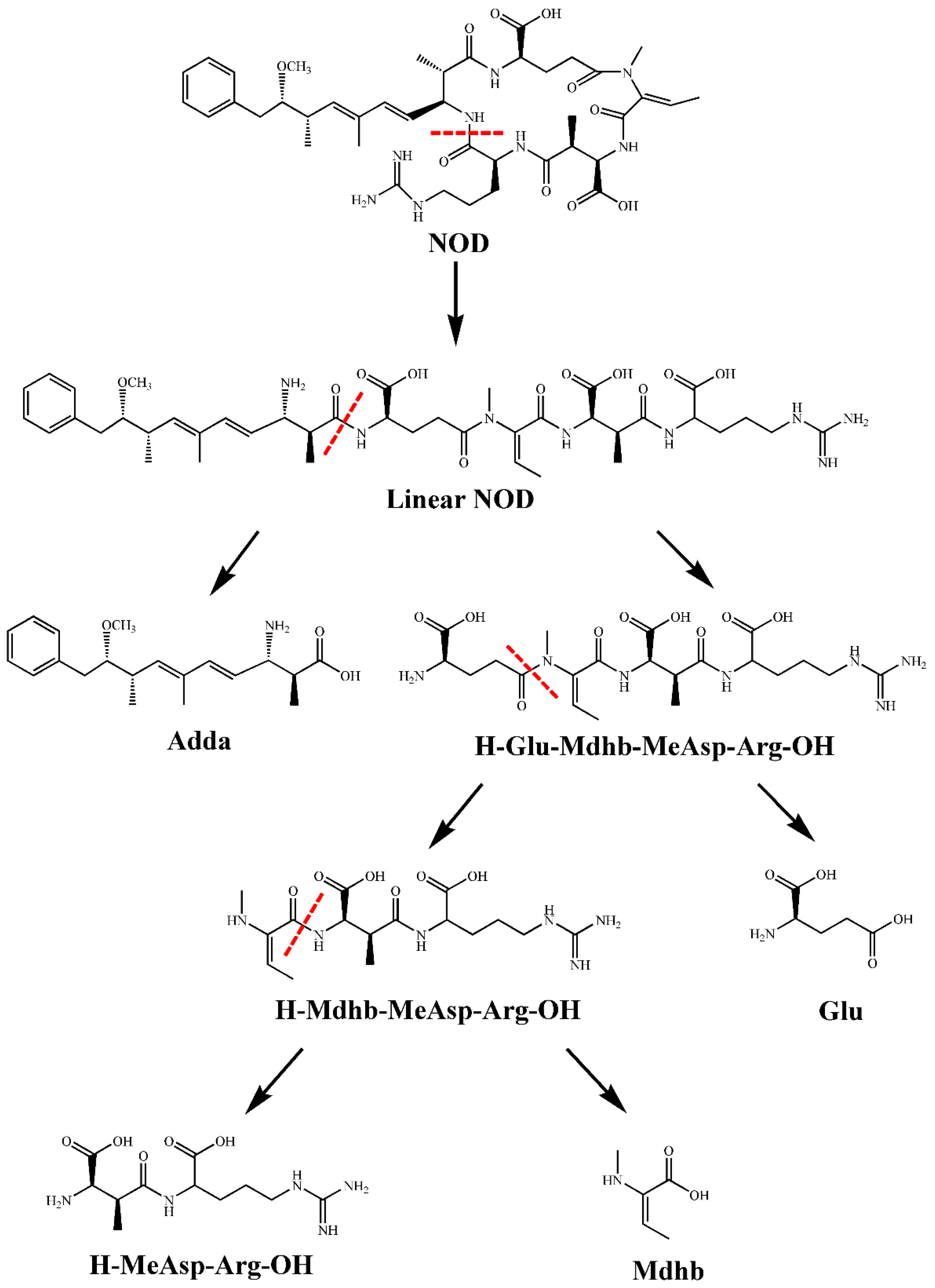 Toxins 13 00813 g006