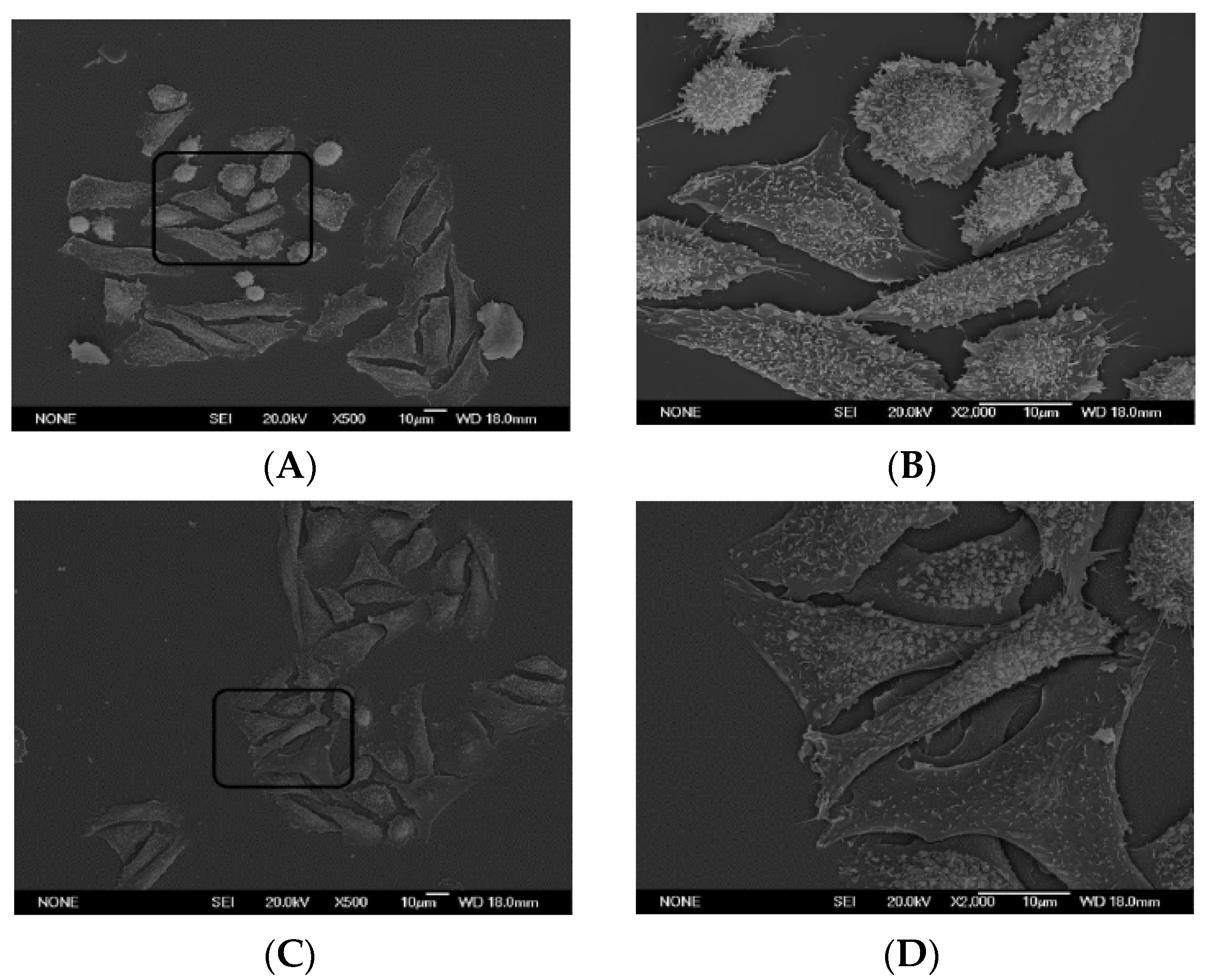 Toxins 13 00815 g006