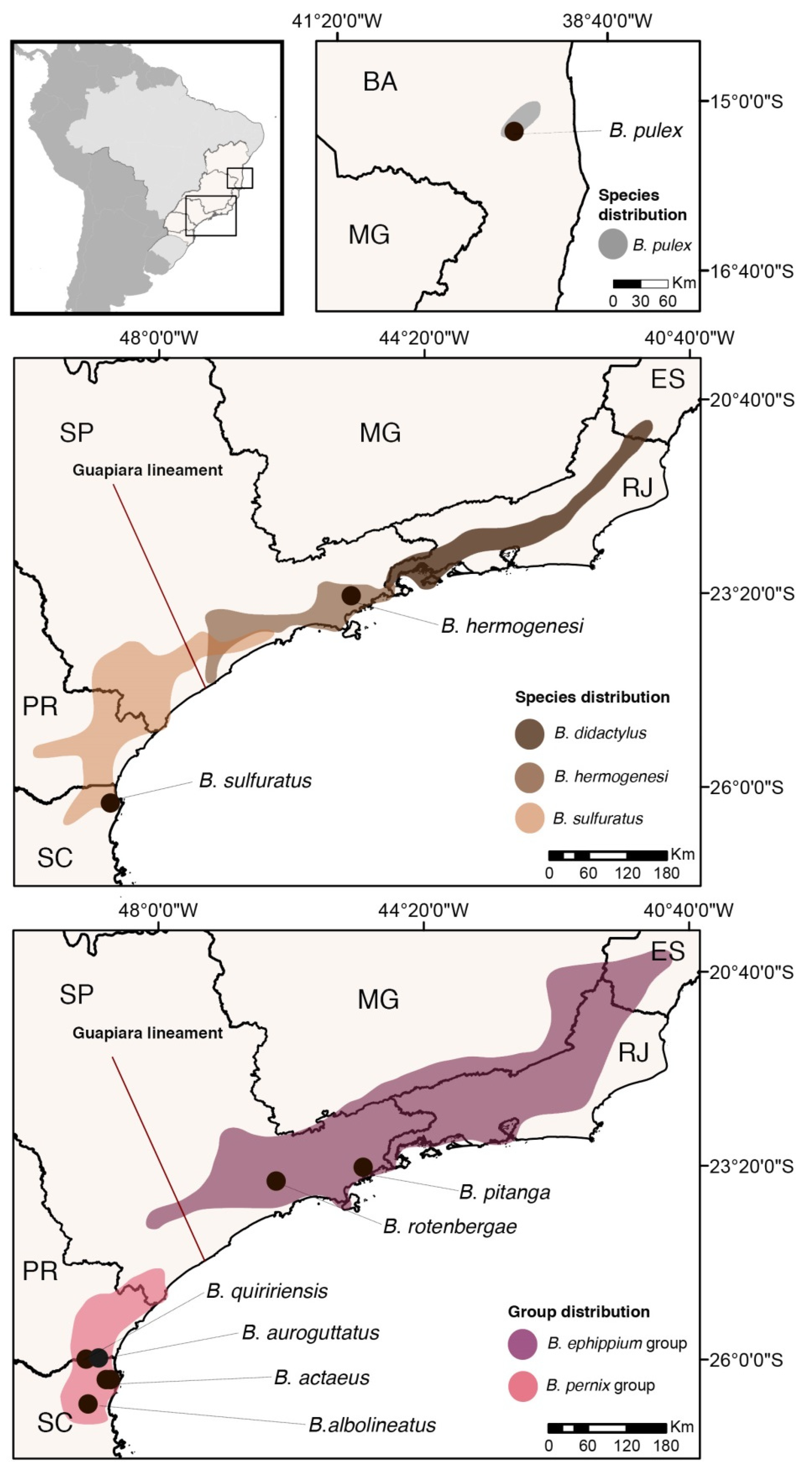 Toxins 13 00816 g001
