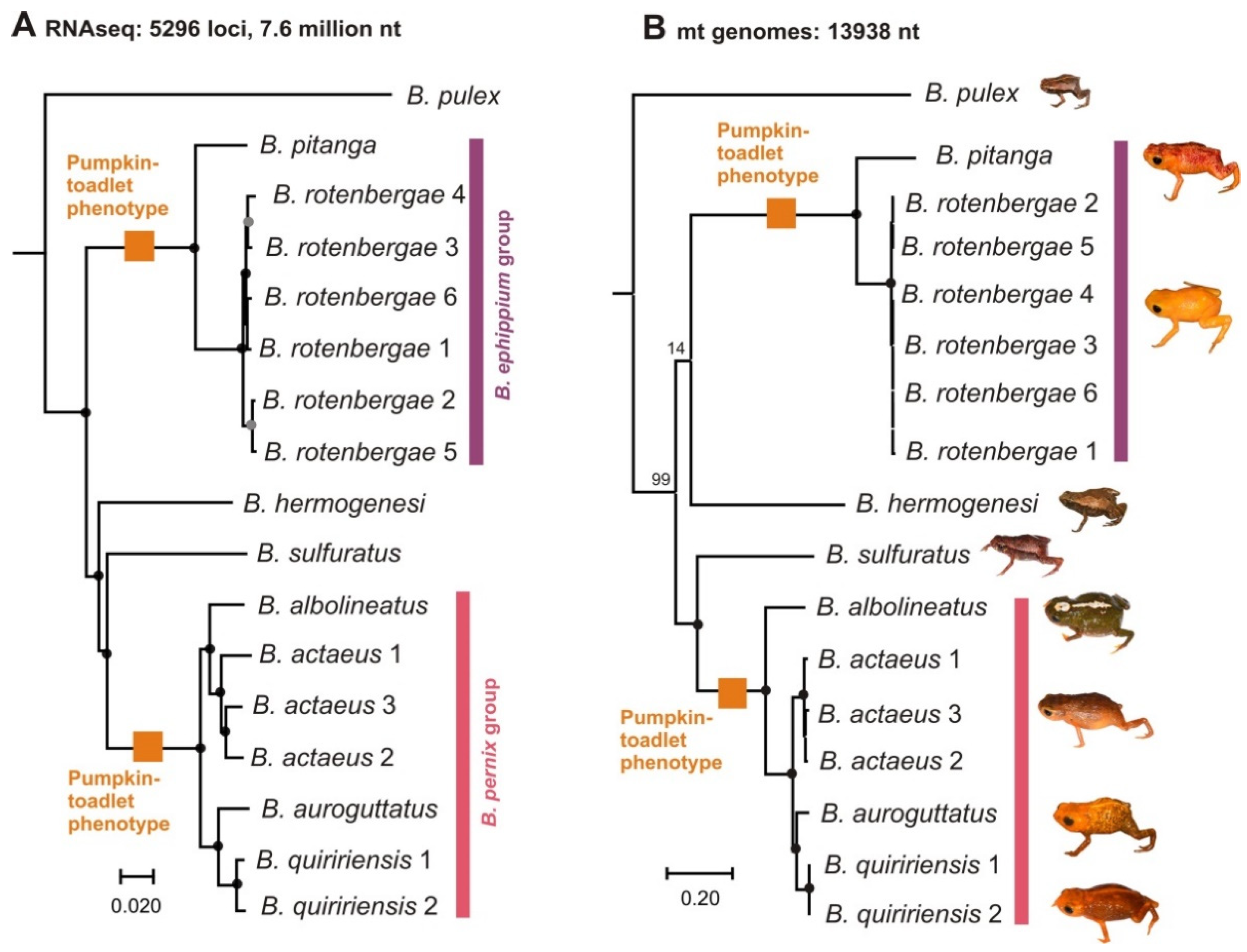 Toxins 13 00816 g003