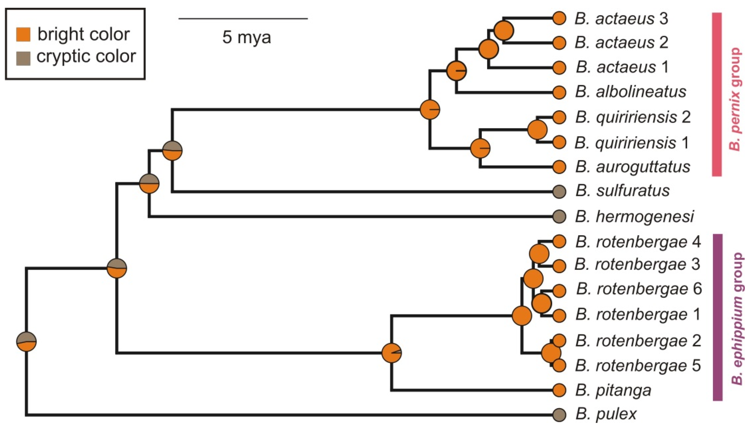 Toxins 13 00816 g004
