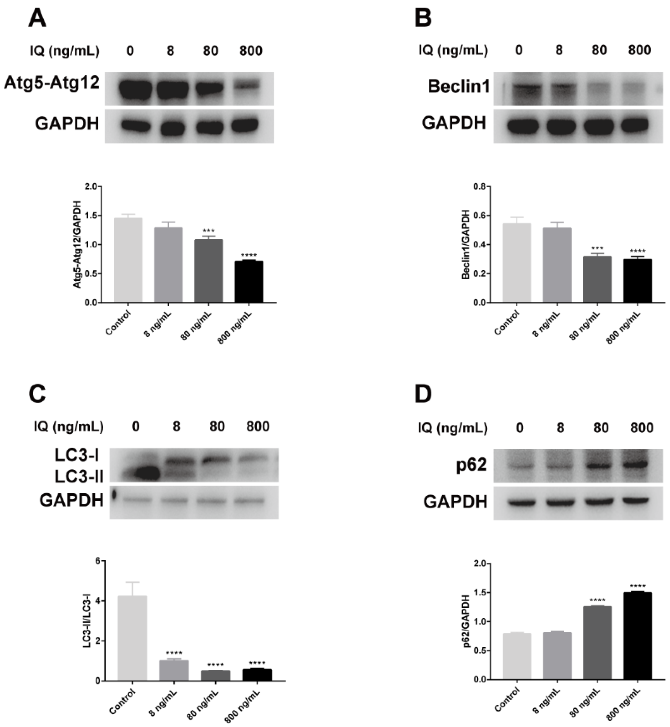 Toxins 13 00826 g004