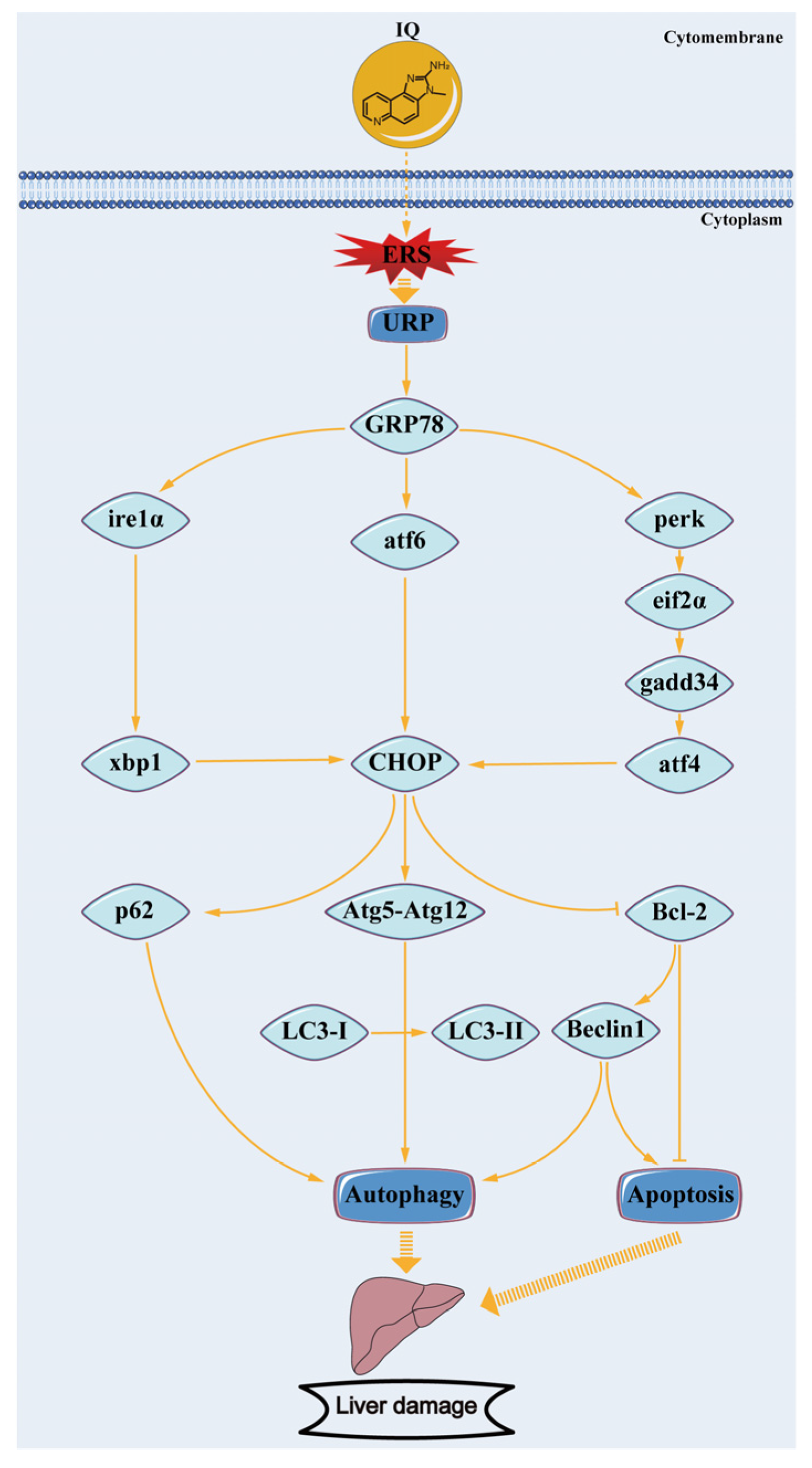 Toxins 13 00826 g006