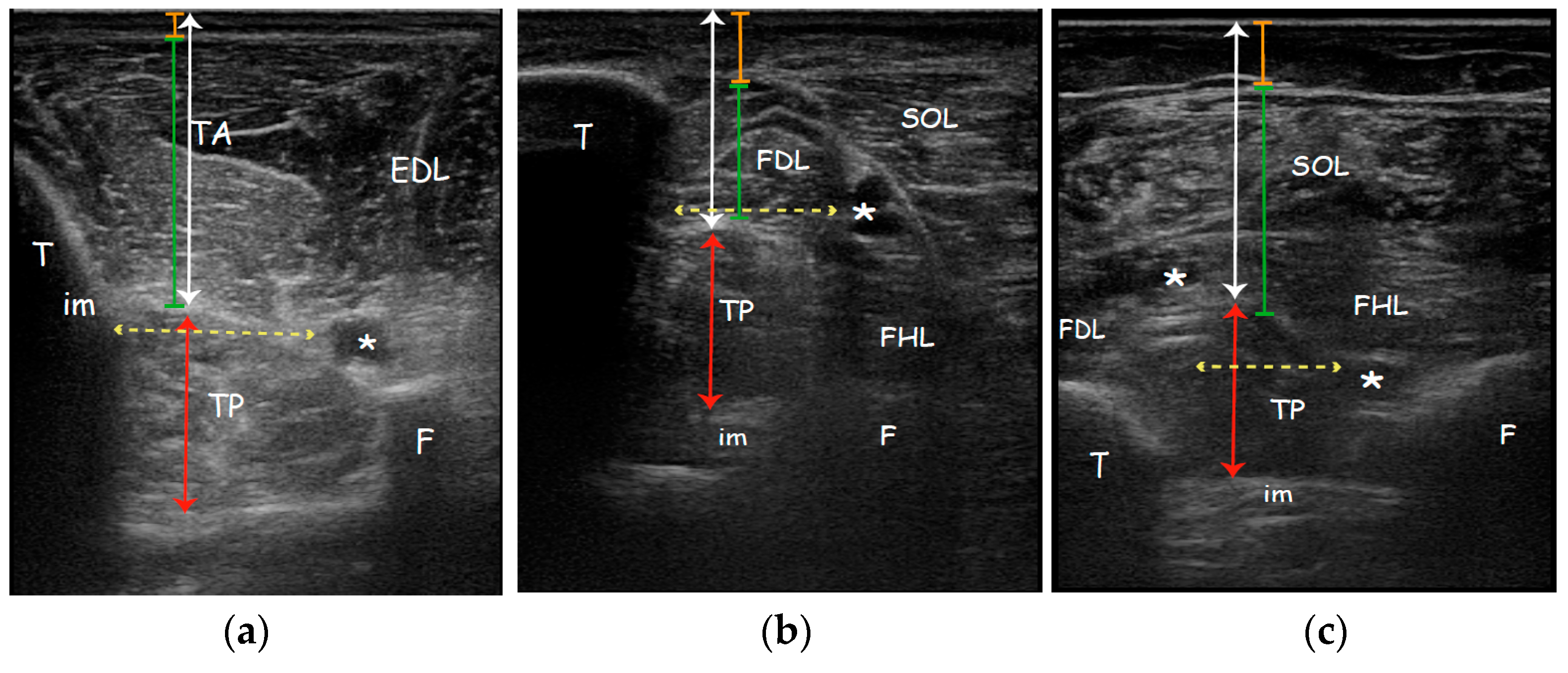 Toxins 13 00829 g002