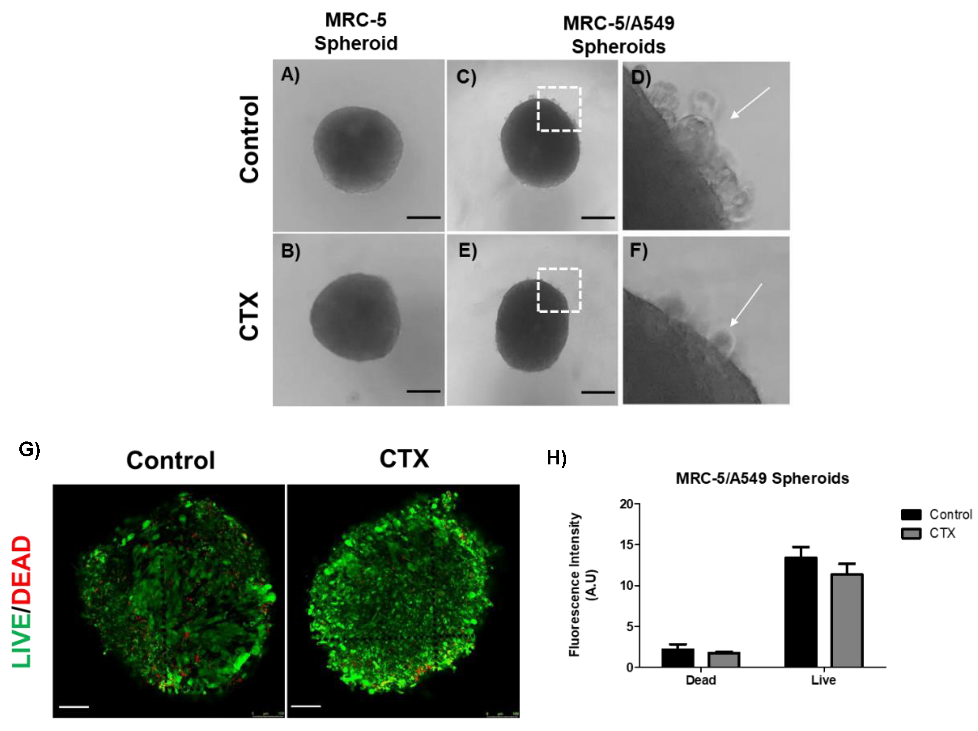 Toxins 13 00830 g002