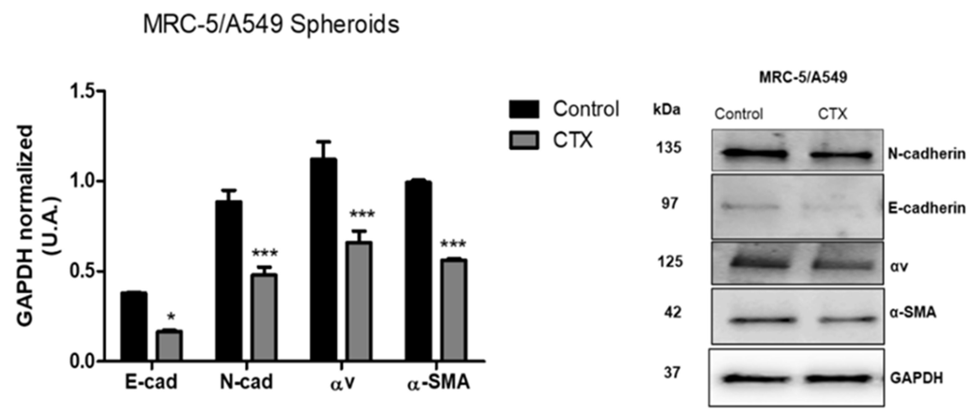 Toxins 13 00830 g004