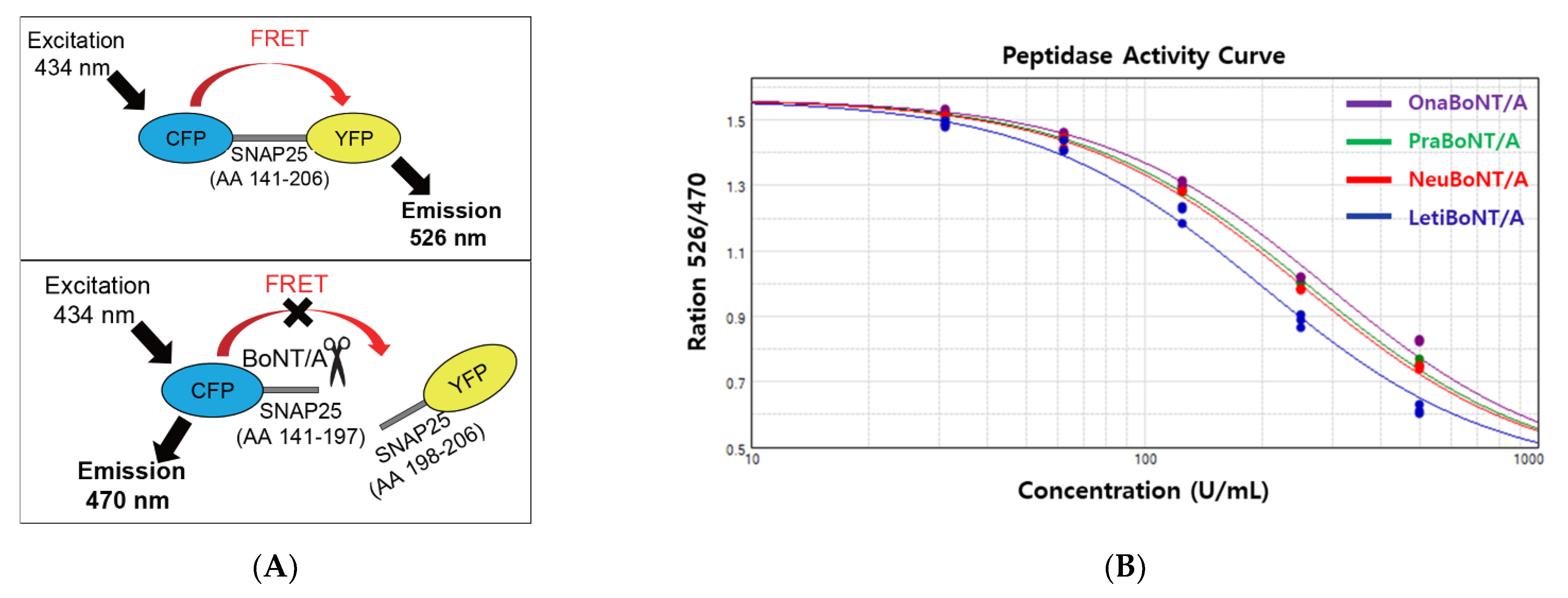 Toxins 13 00833 g002