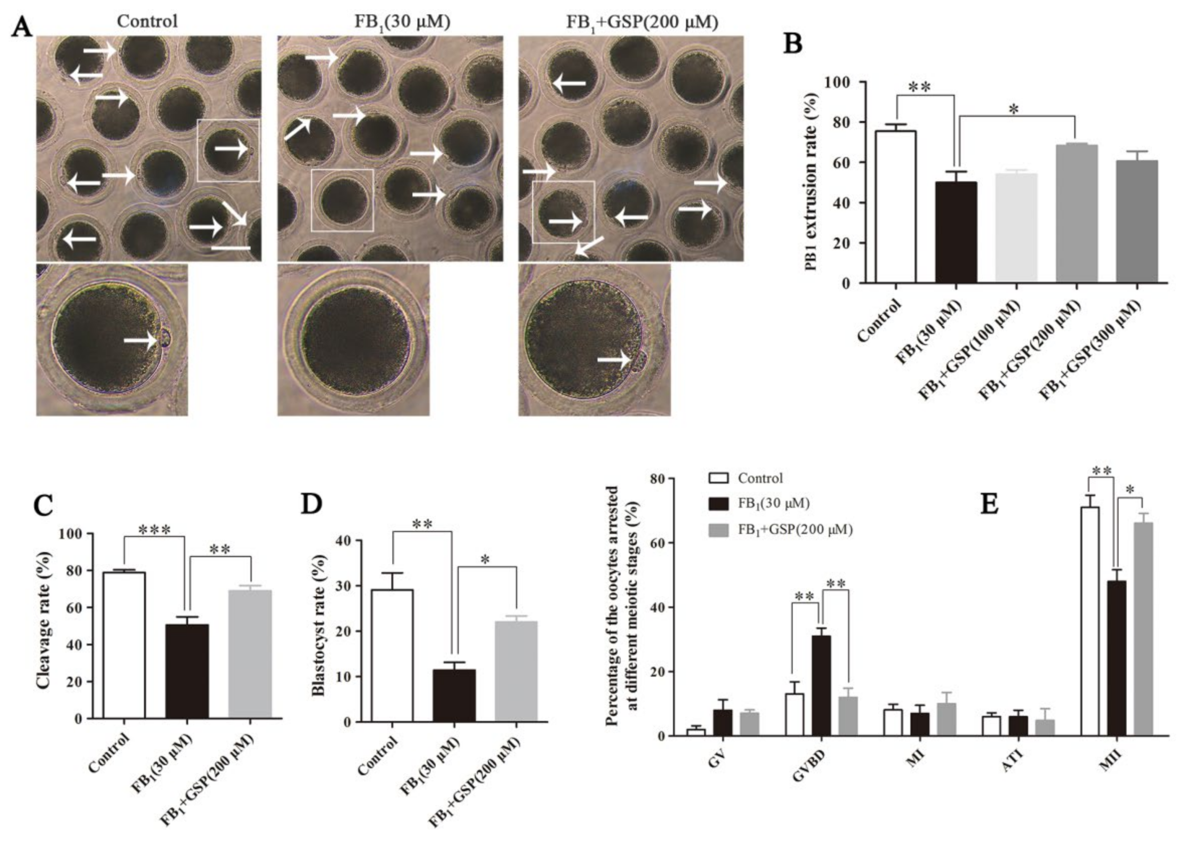 Toxins 13 00841 g001 Toxins 13 00841 g001