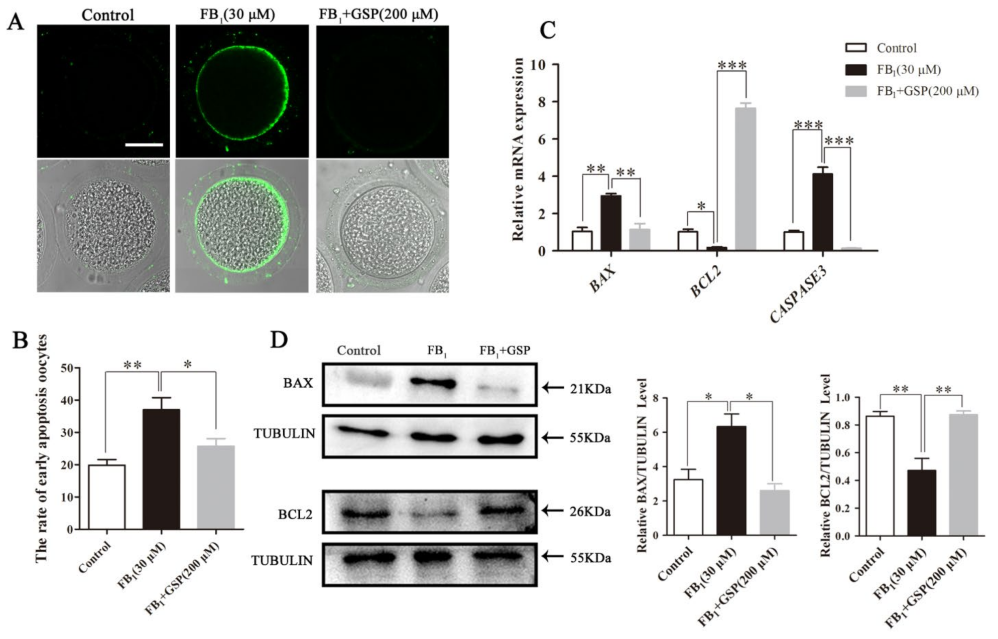 Toxins 13 00841 g005 Toxins 13 00841 g005