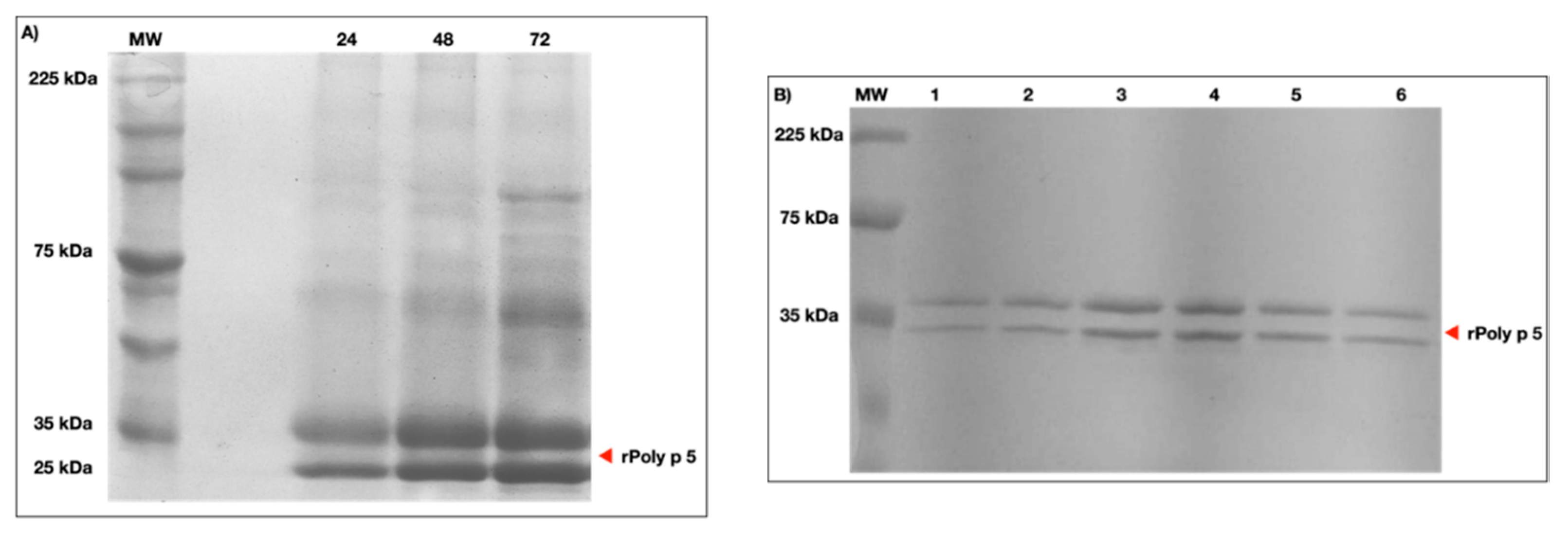 Toxins 13 00850 g001