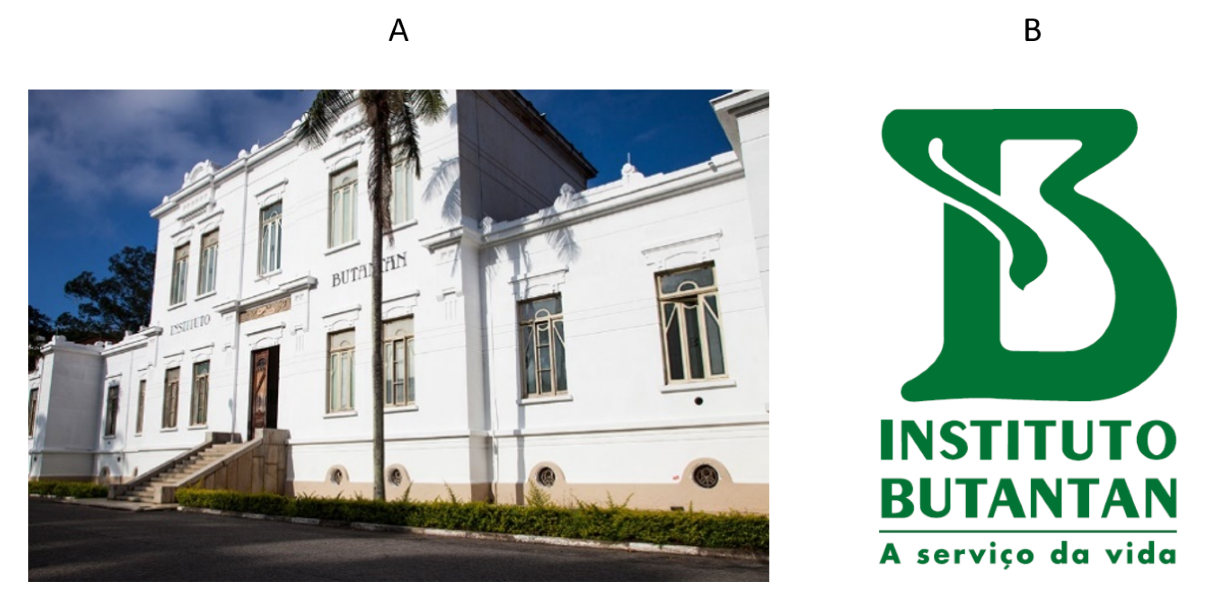 Toxins 13 00851 g002 Toxins 13 00851 g002