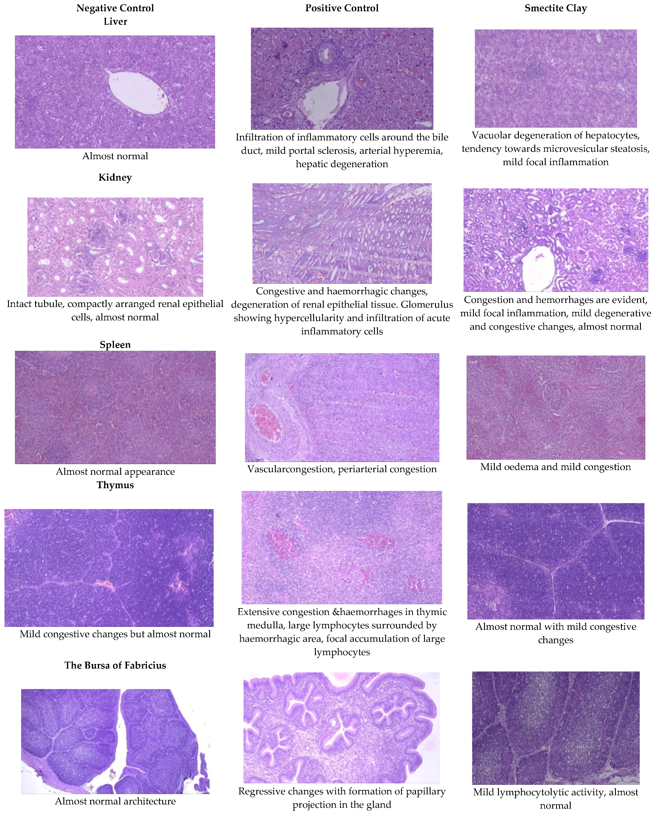 Toxins 13 00856 g001a