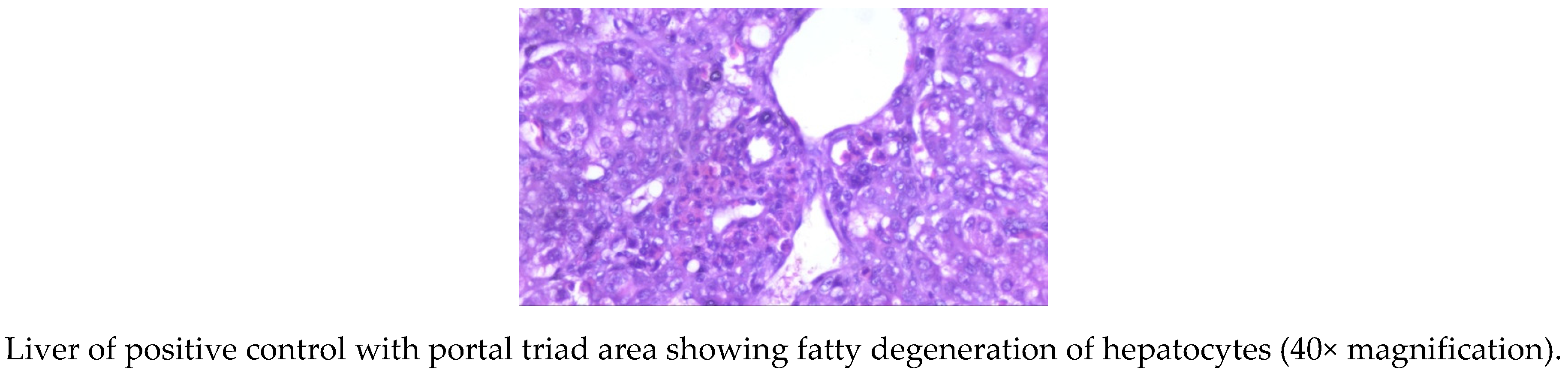 Toxins 13 00856 g001b