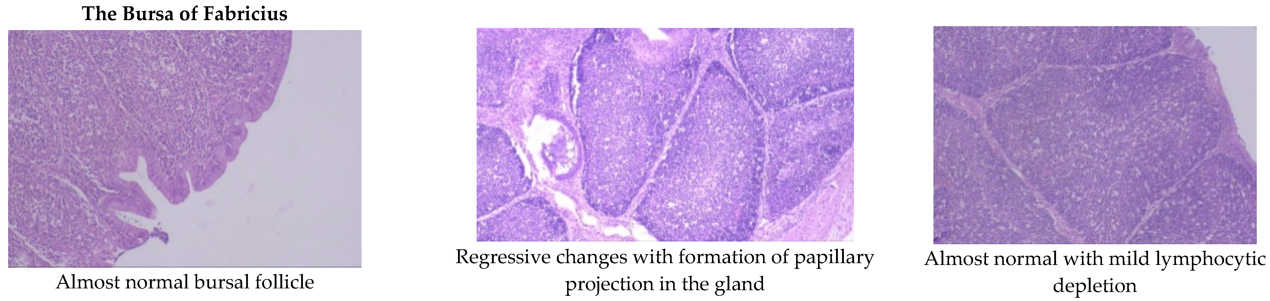 Toxins 13 00856 g002b