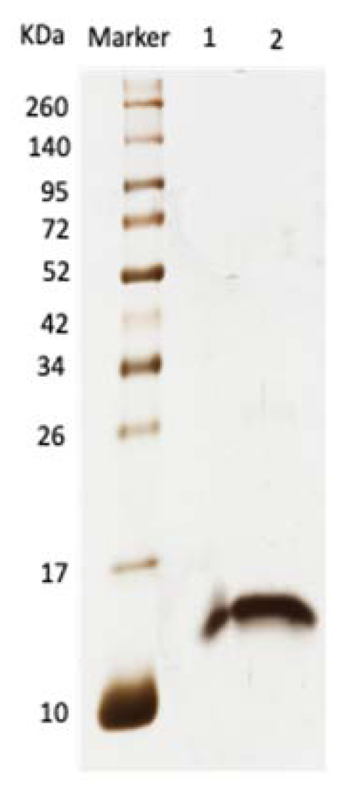 Toxins 13 00859 g002