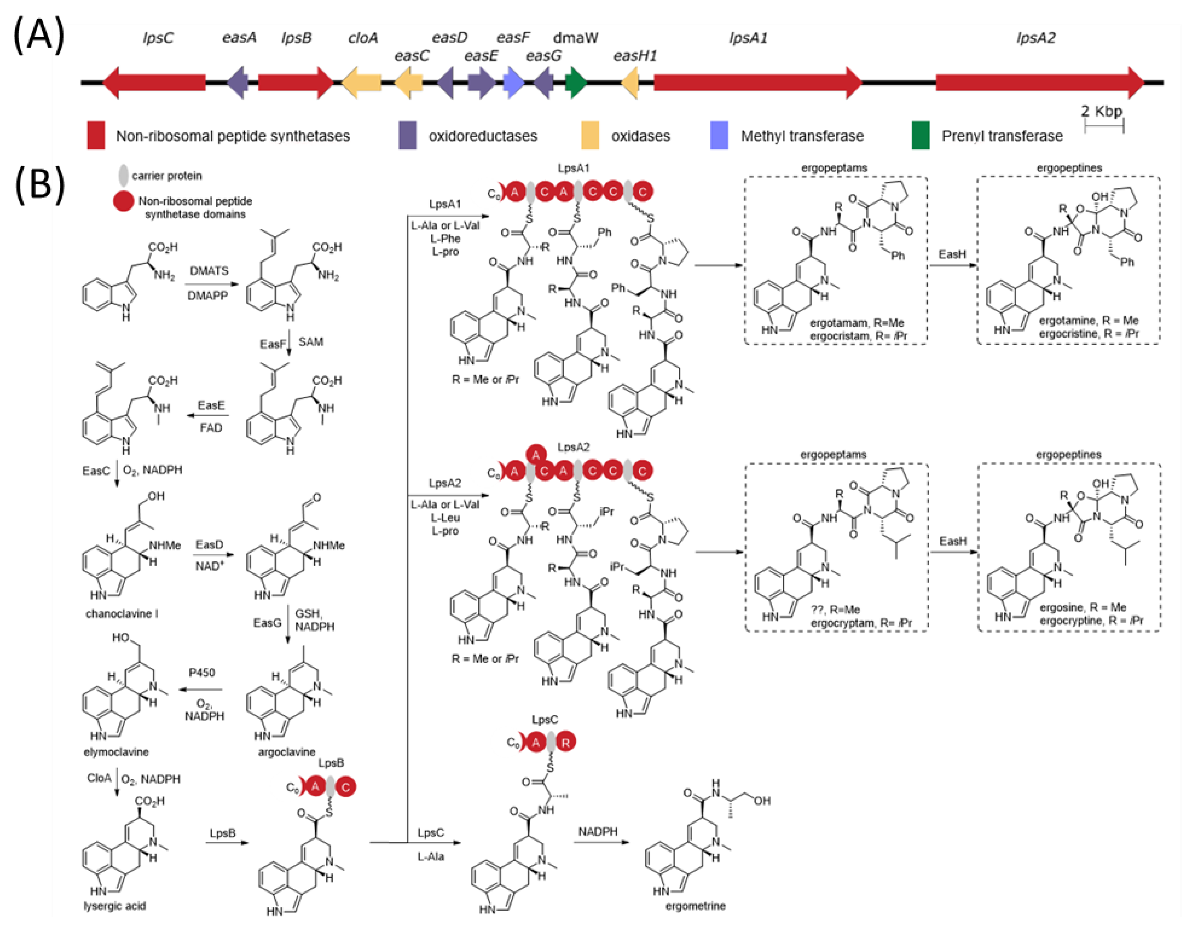 Toxins 13 00861 g001