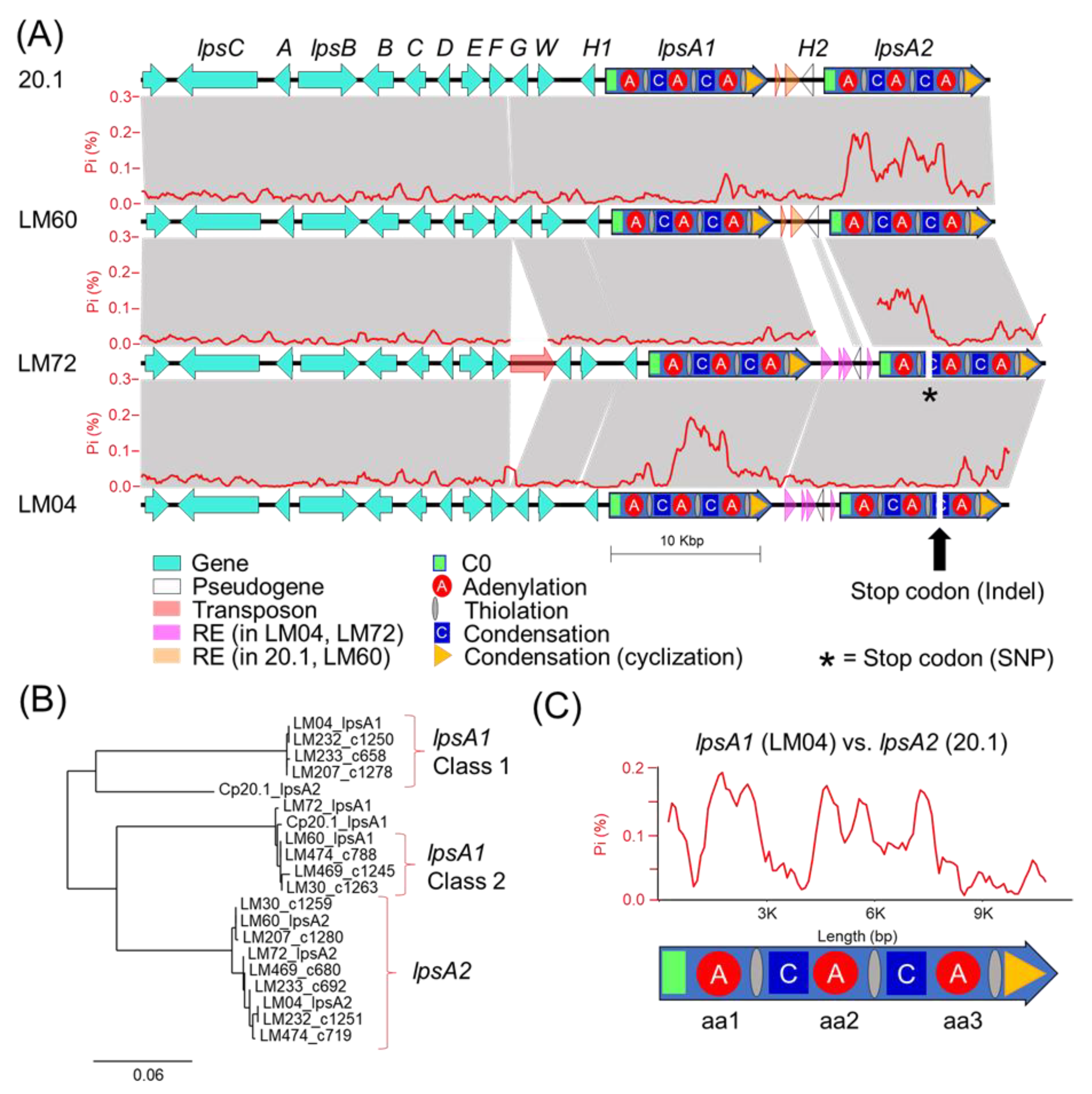 Toxins 13 00861 g005