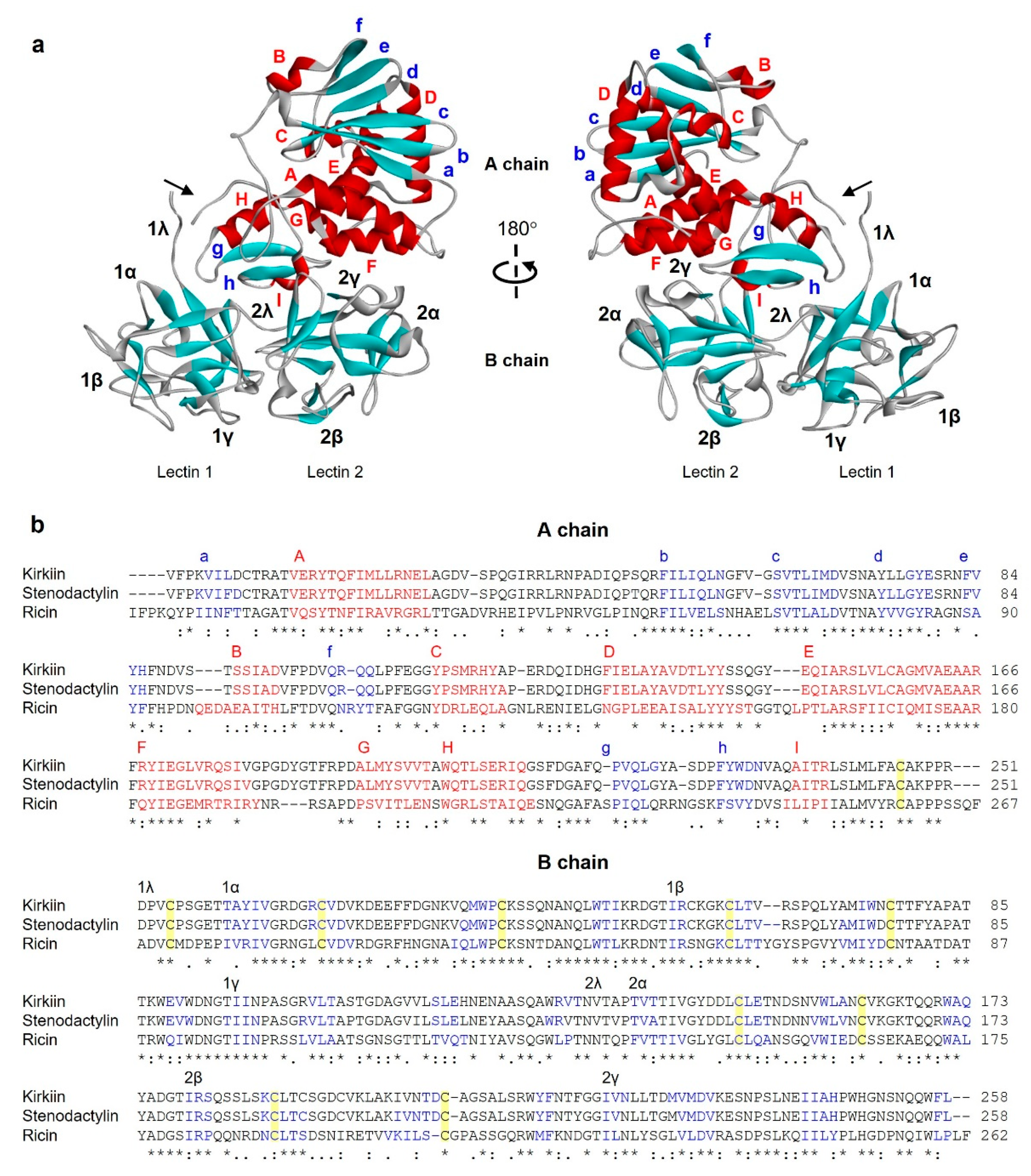 Toxins 13 00862 g004