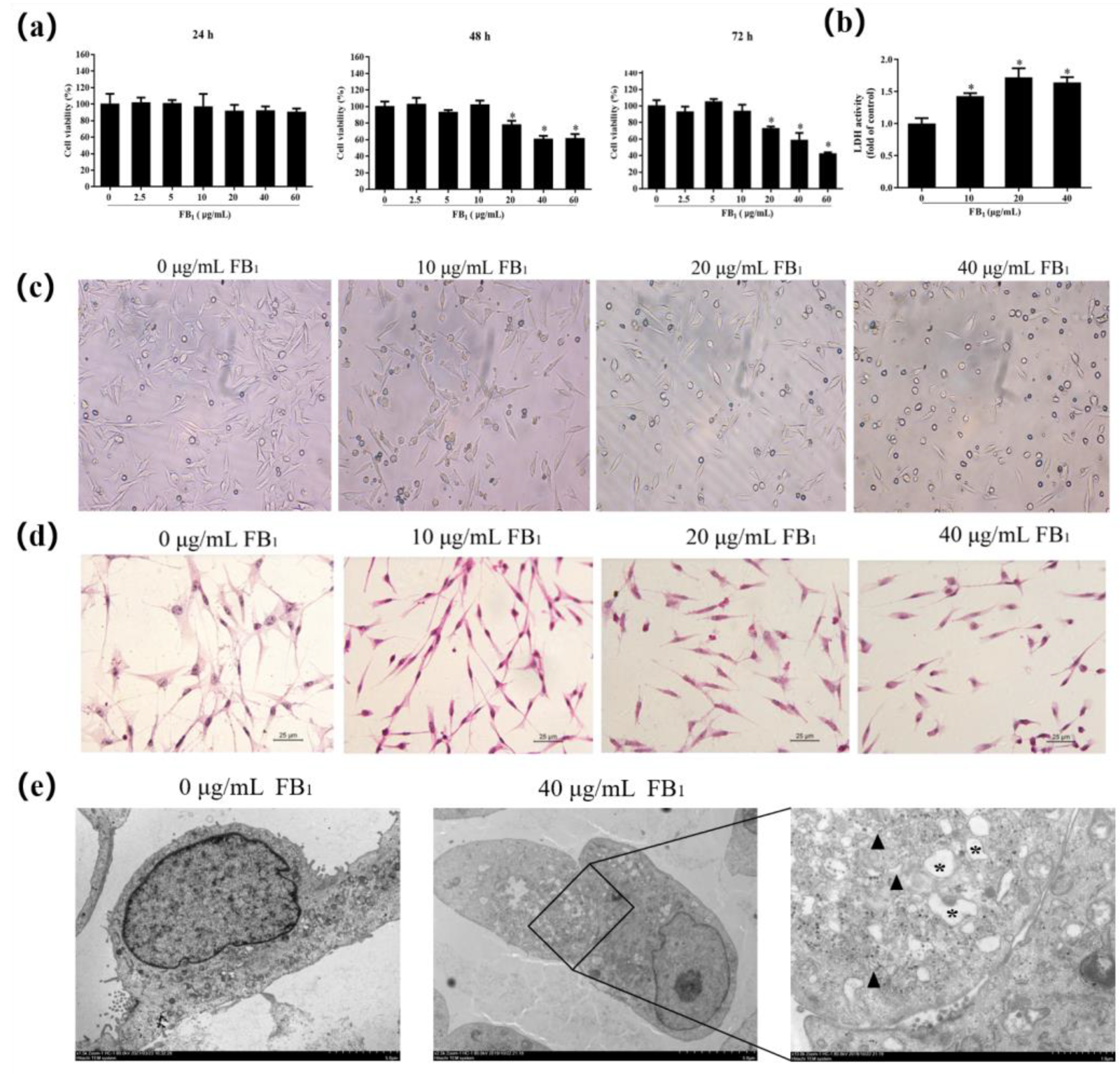 Toxins 13 00863 g001