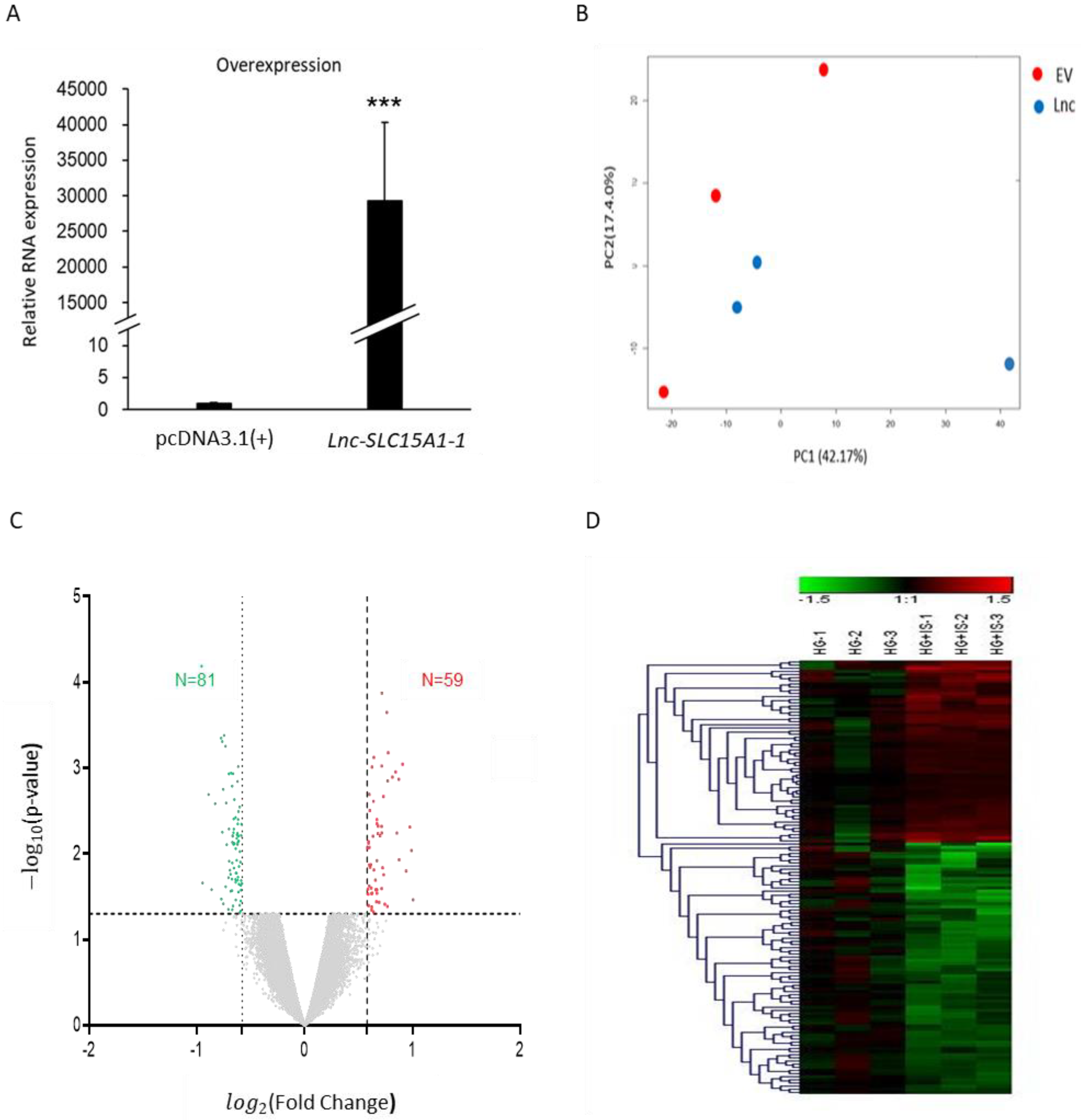 Toxins 13 00873 g003