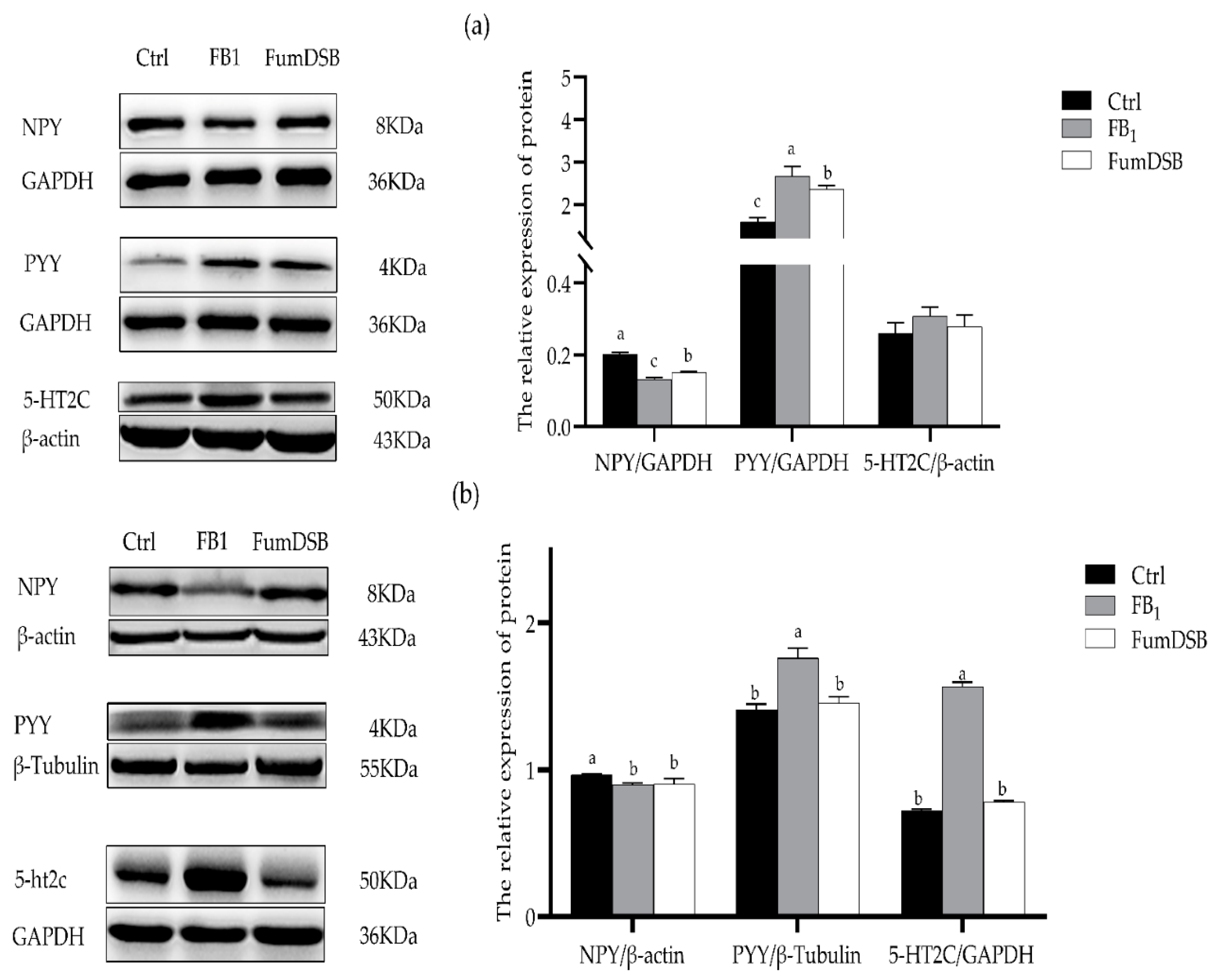 Toxins 13 00874 g002