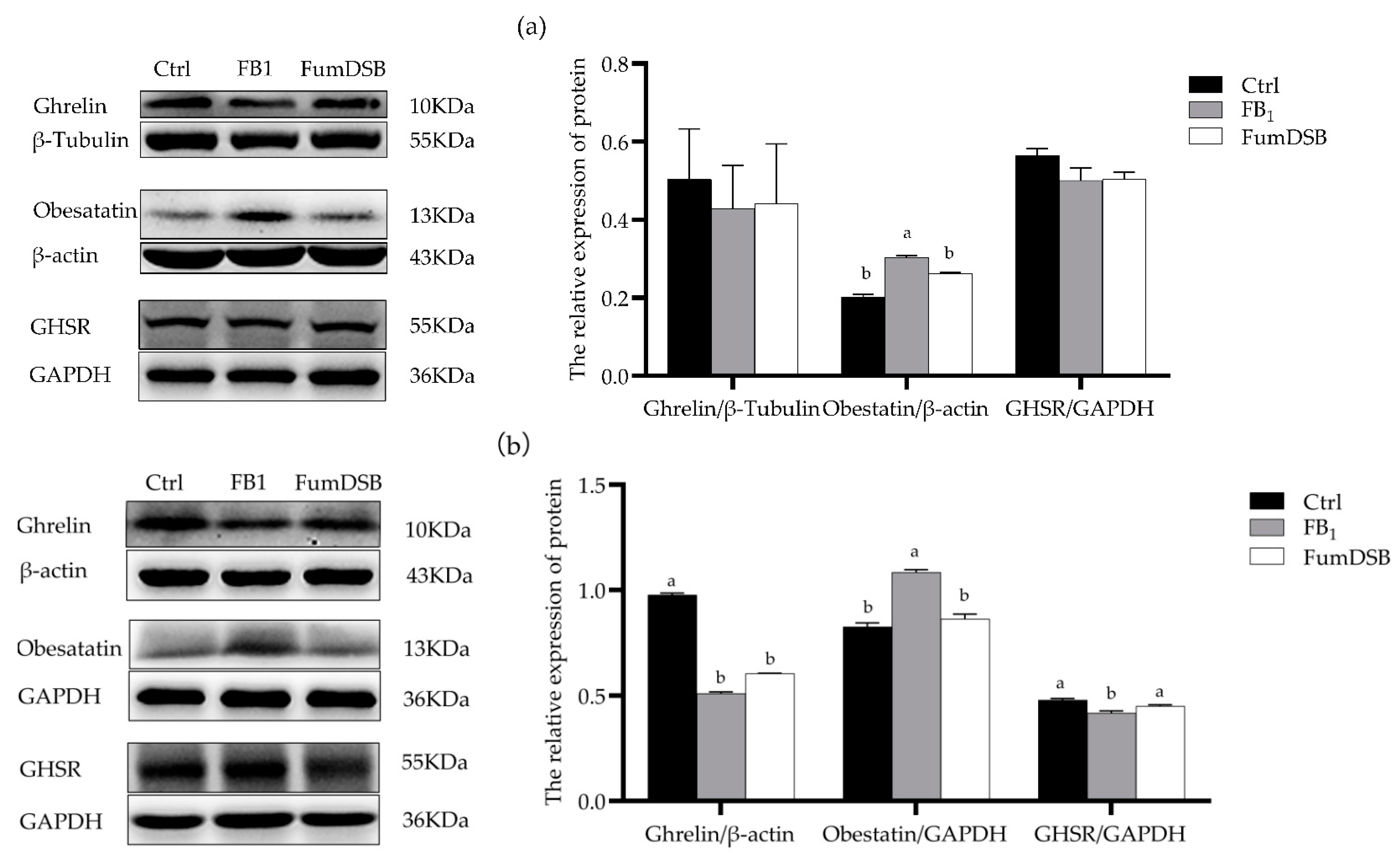 Toxins 13 00874 g006