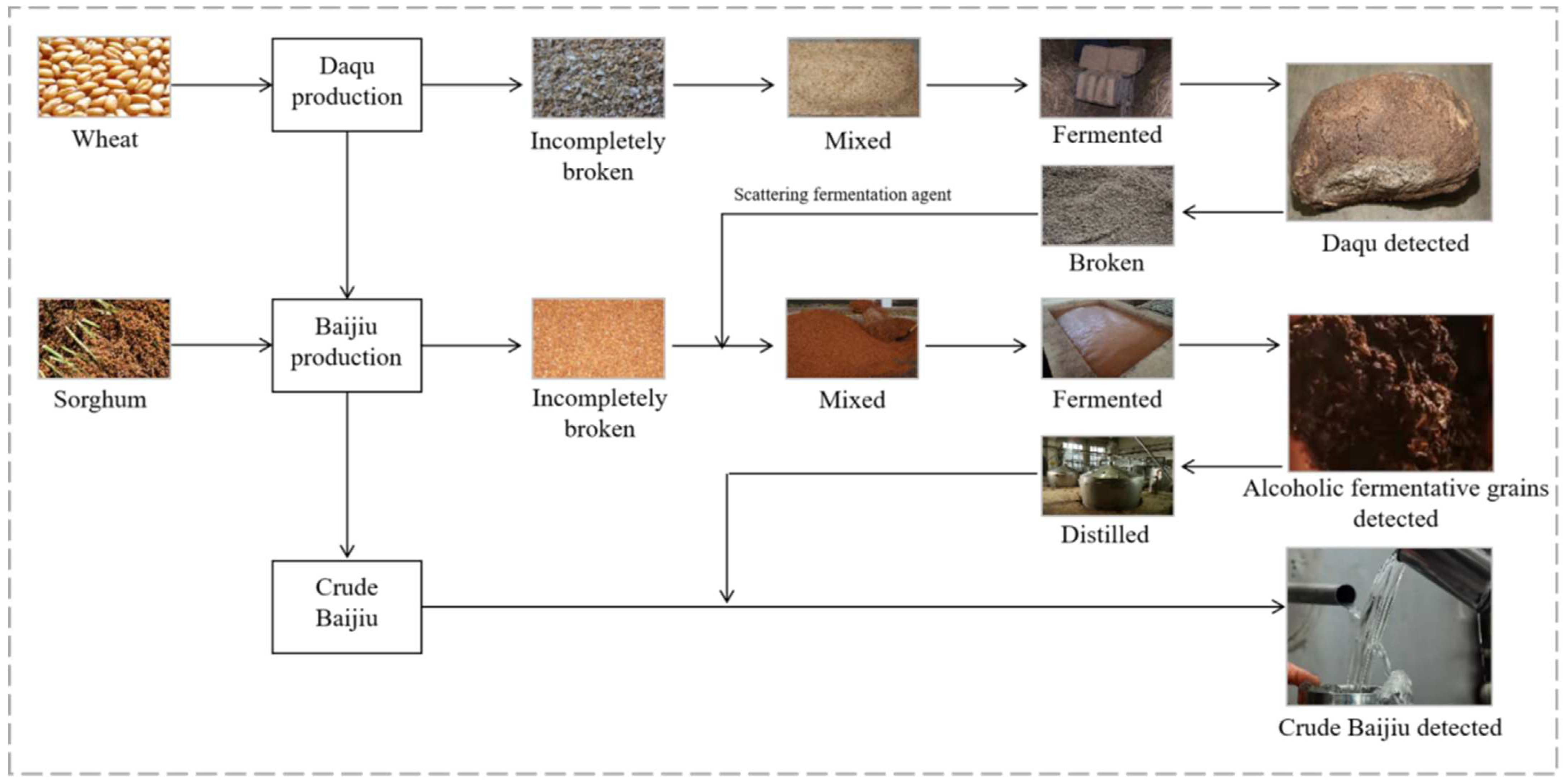 Toxins 13 00876 g001