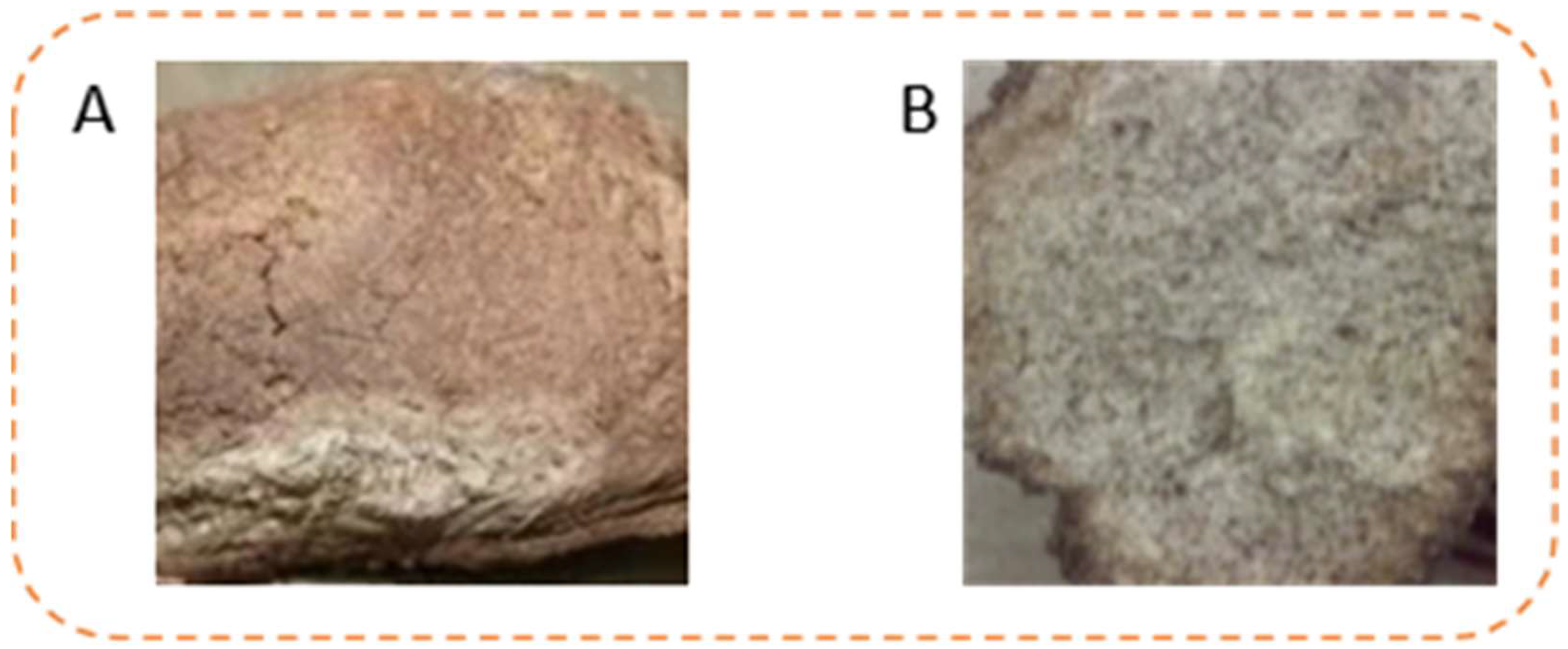 Toxins 13 00876 g003