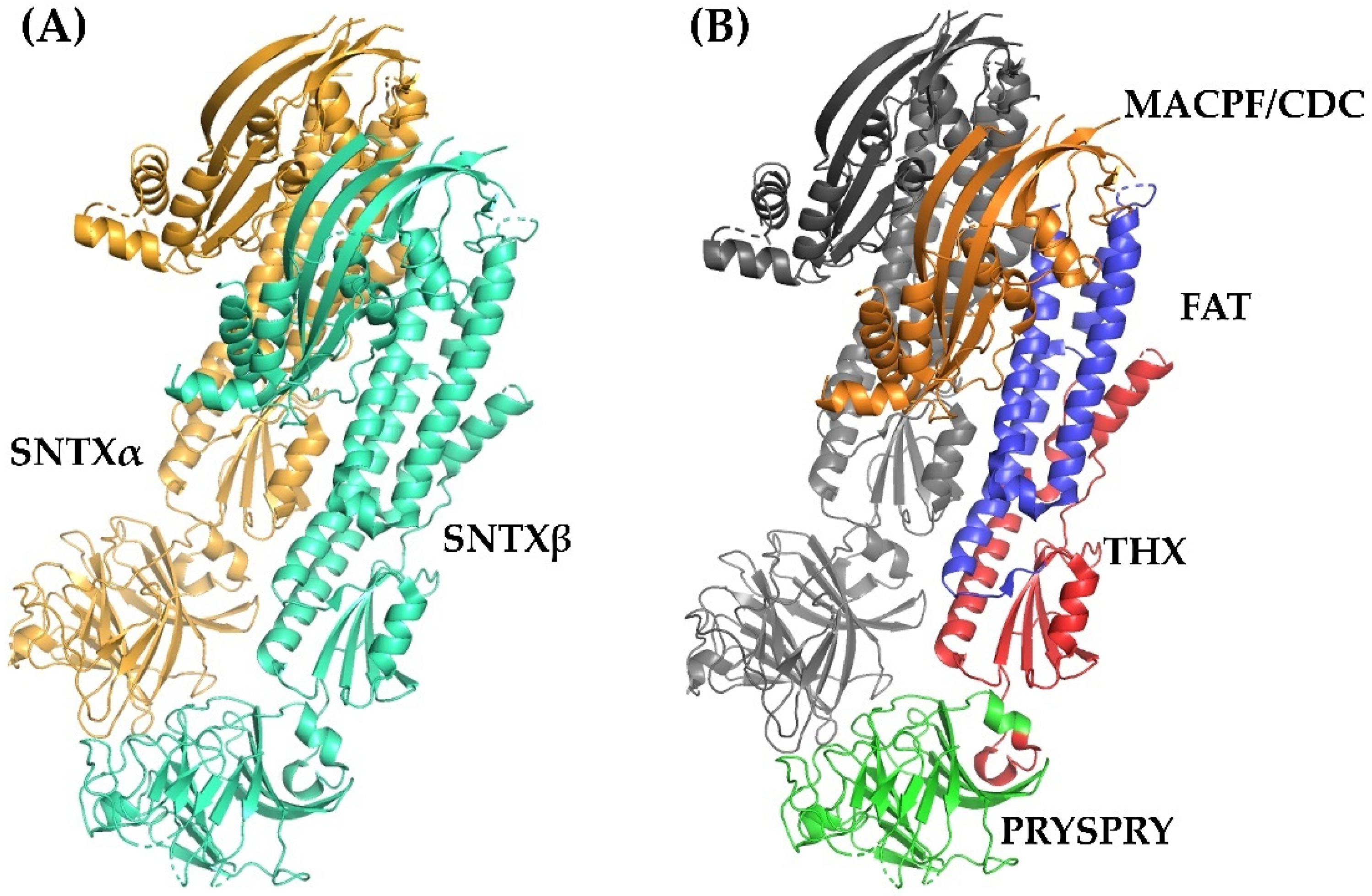 Toxins 13 00877 g003