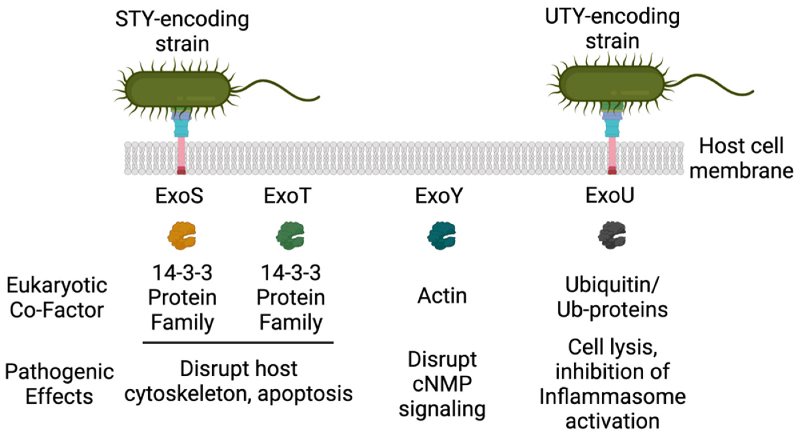 Toxins 13 00880 g001