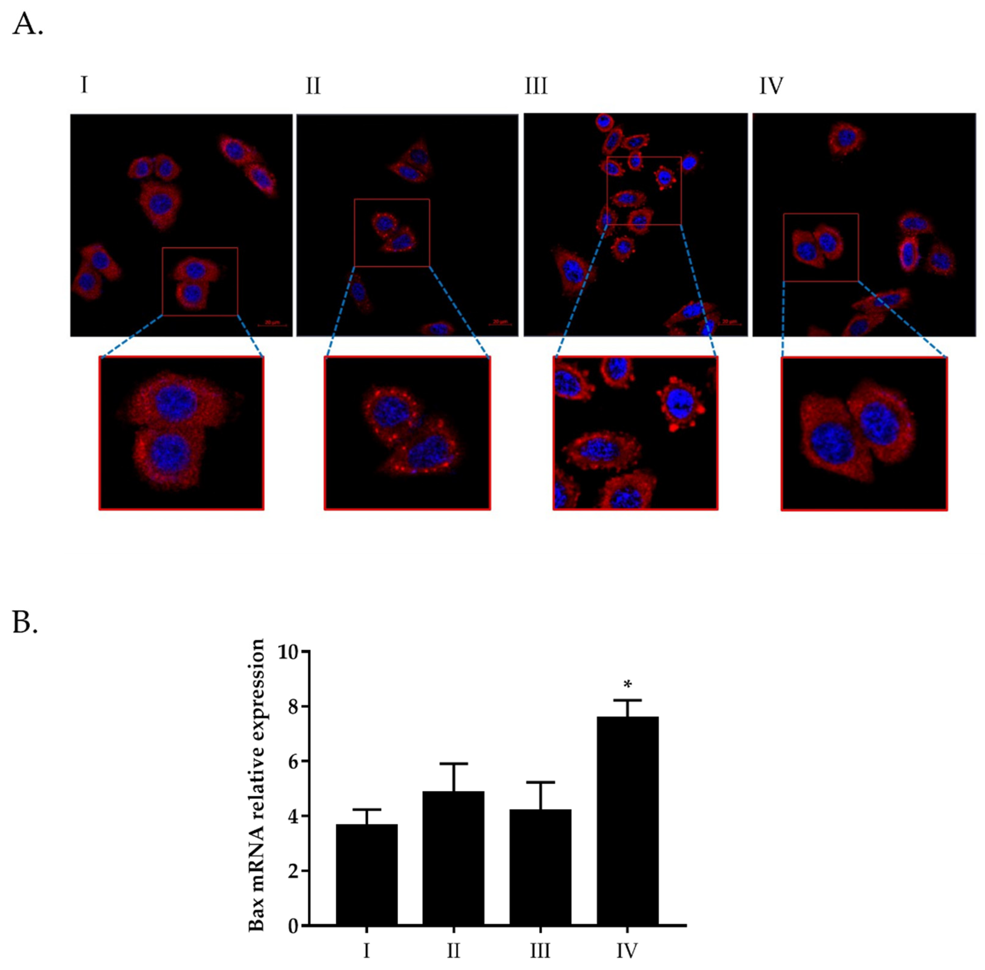 Toxins 13 00886 g004