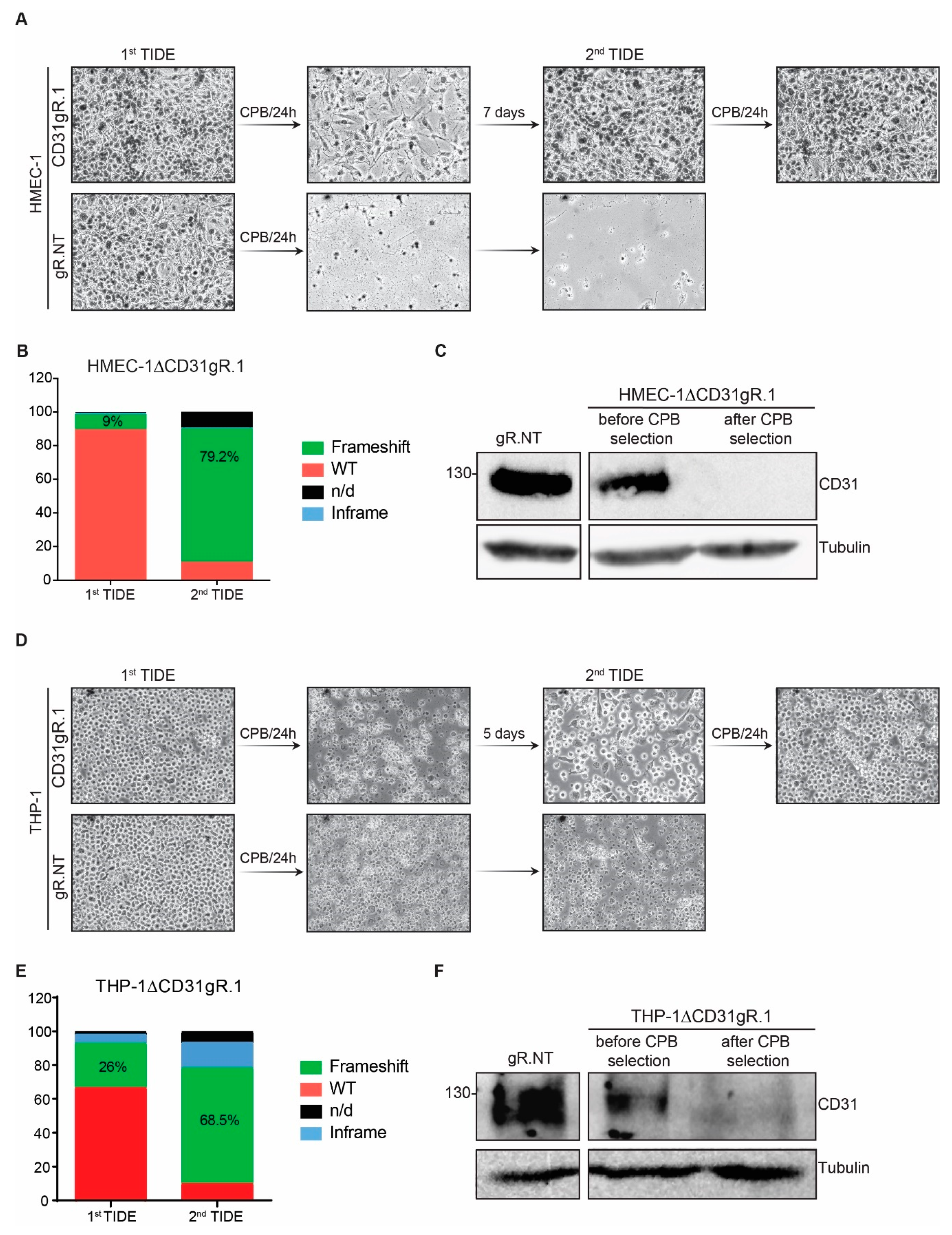 Toxins 13 00893 g004