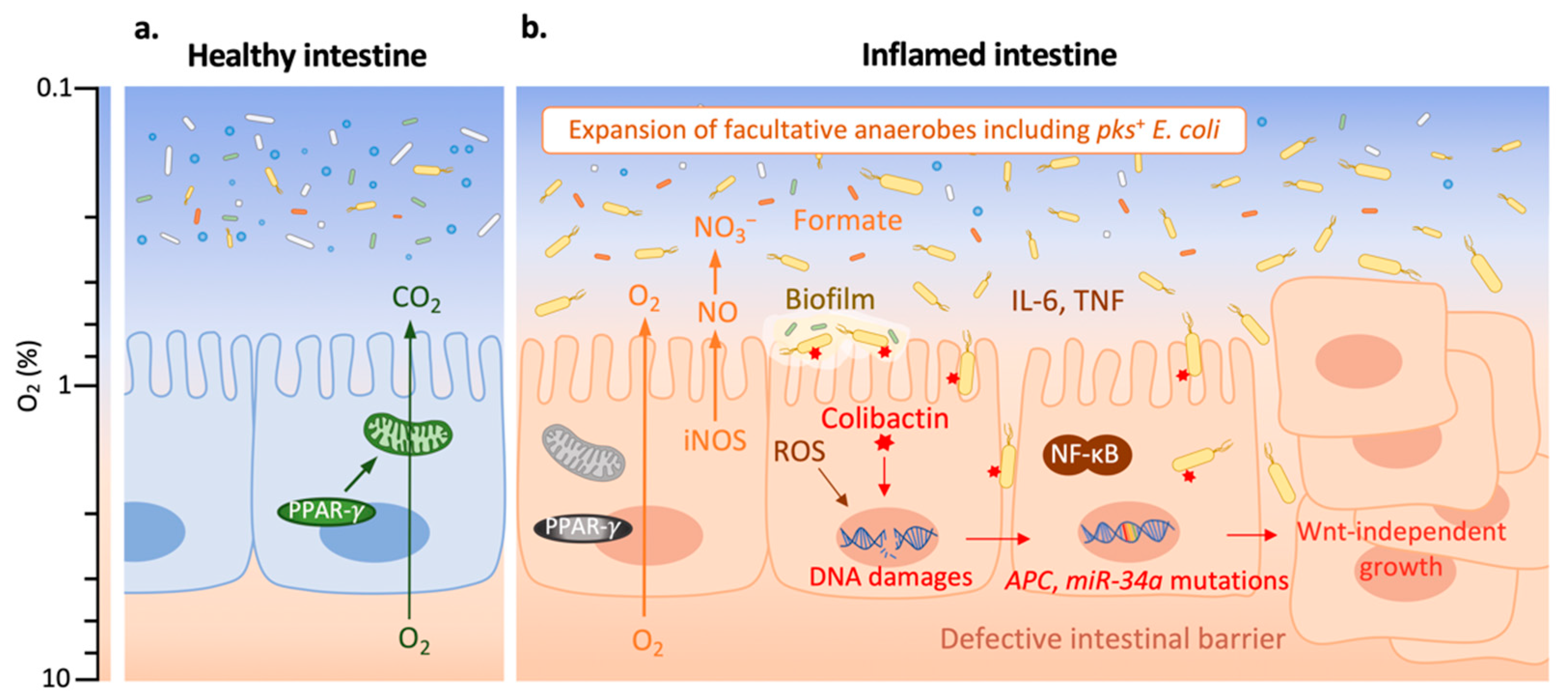 Toxins 13 00897 g002