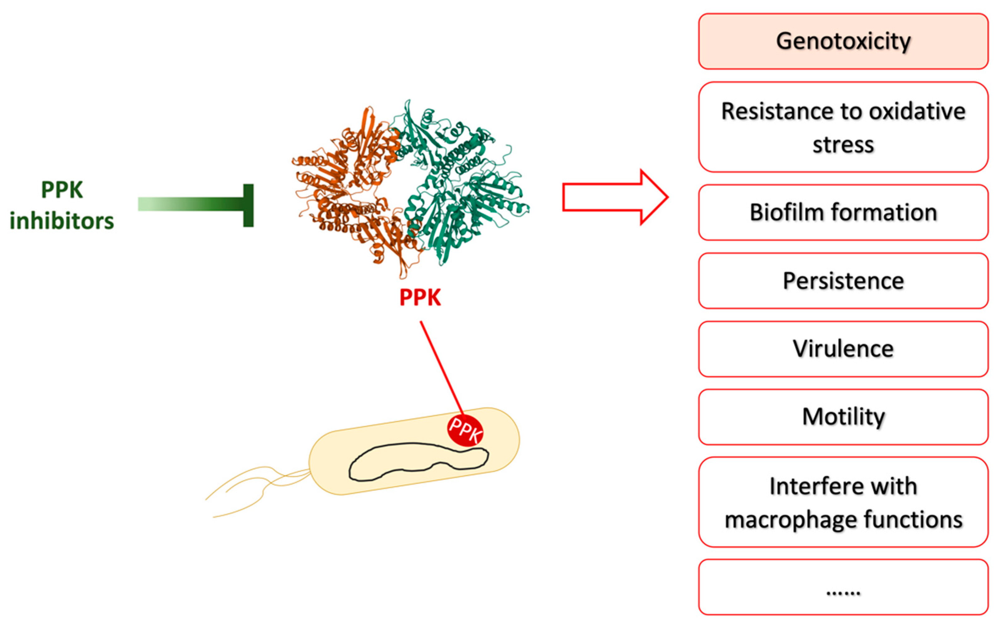 Toxins 13 00897 g004
