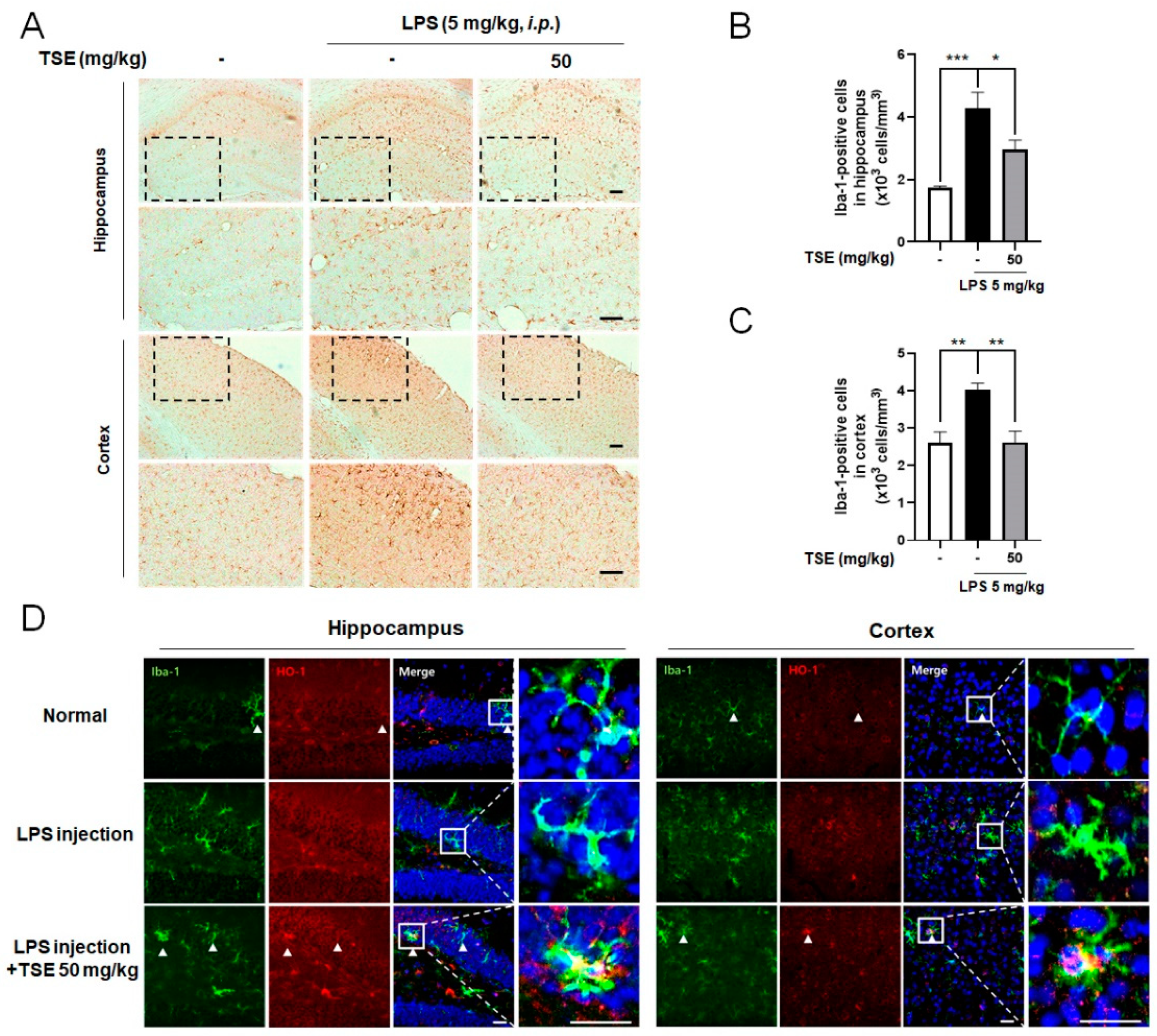 Toxins 13 00898 g006