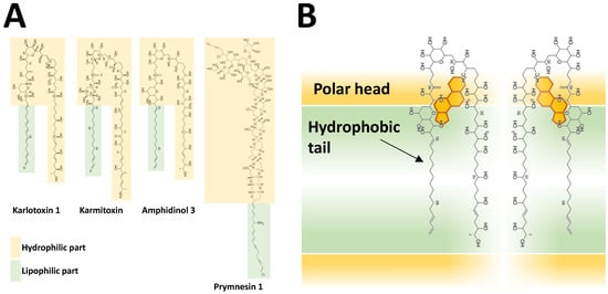 Toxins 13 00905 g003