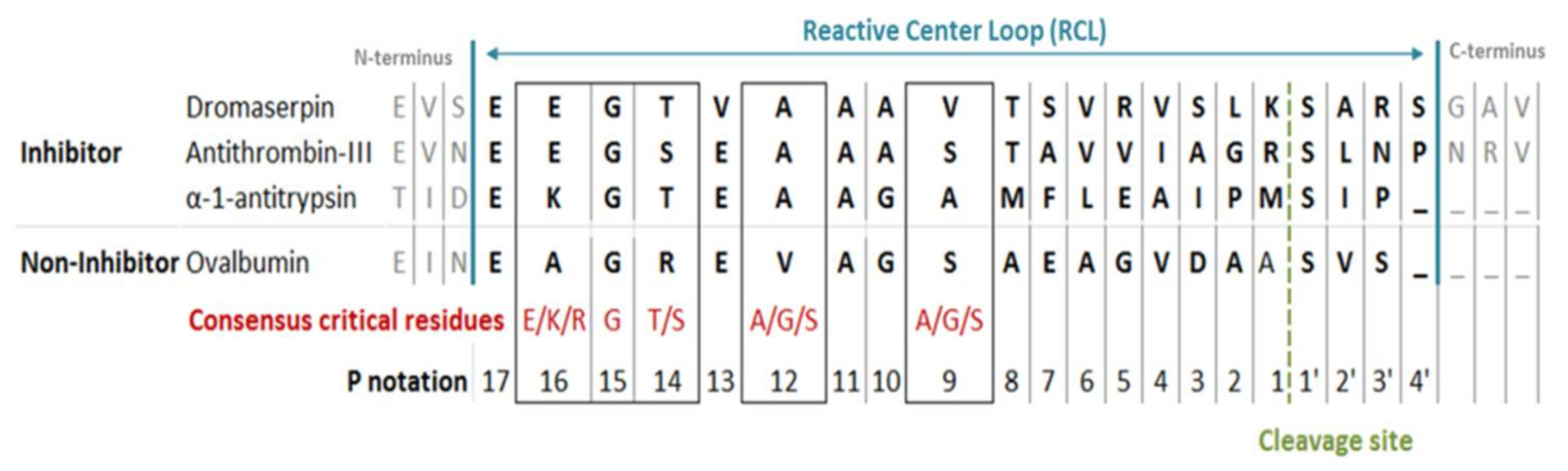 Toxins 13 00913 g002