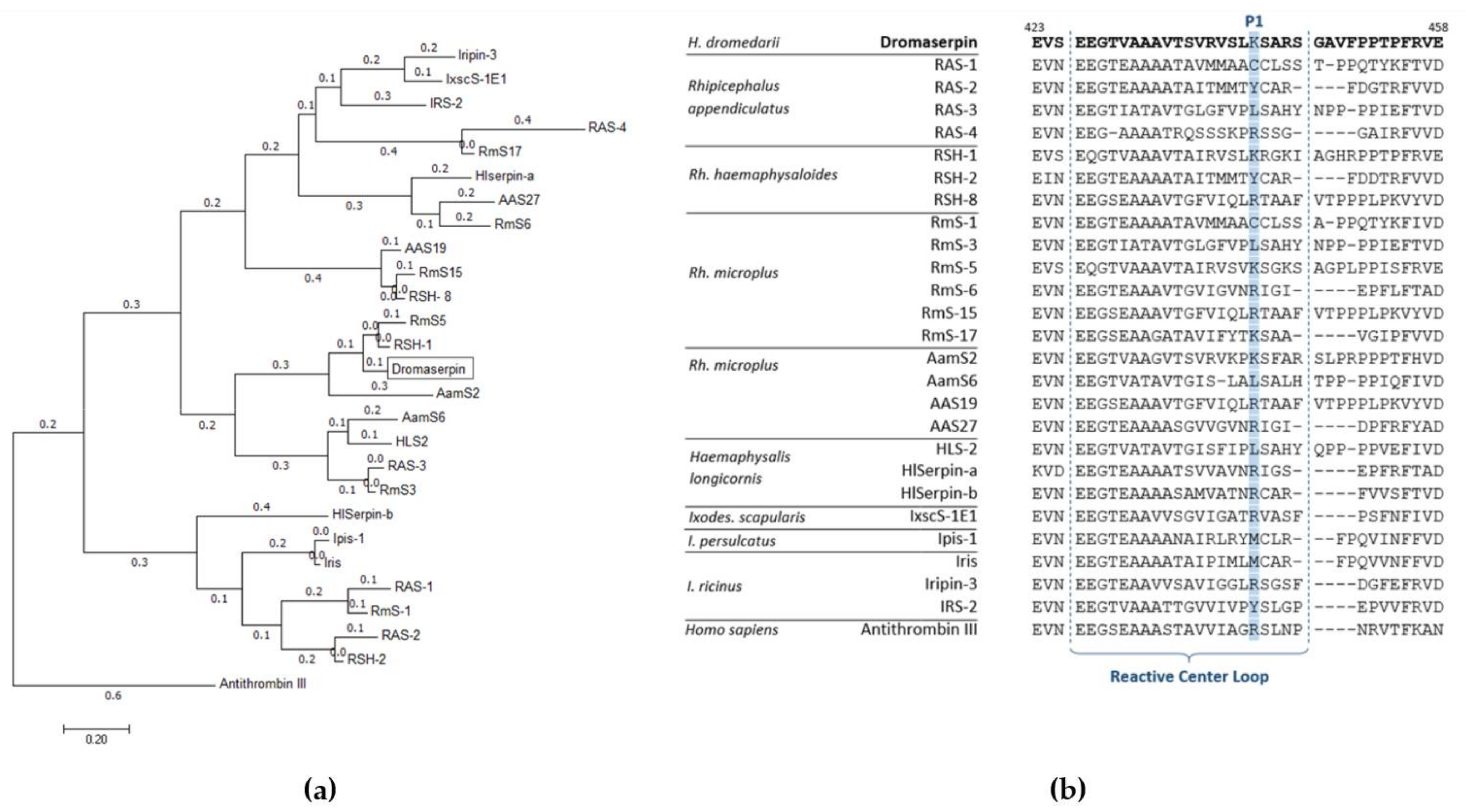 Toxins 13 00913 g003
