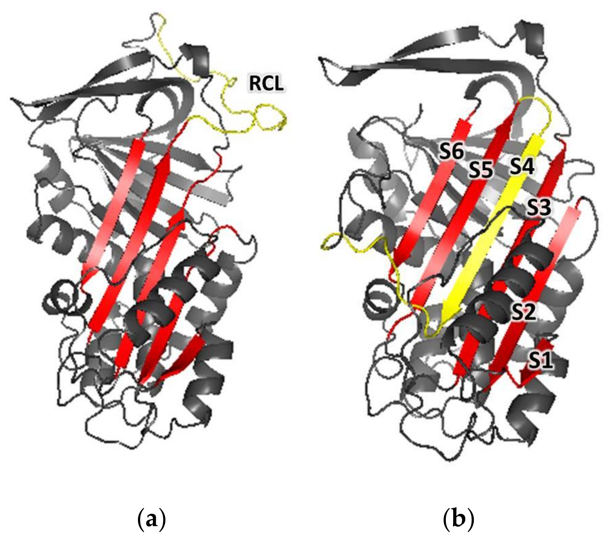 Toxins 13 00913 g007