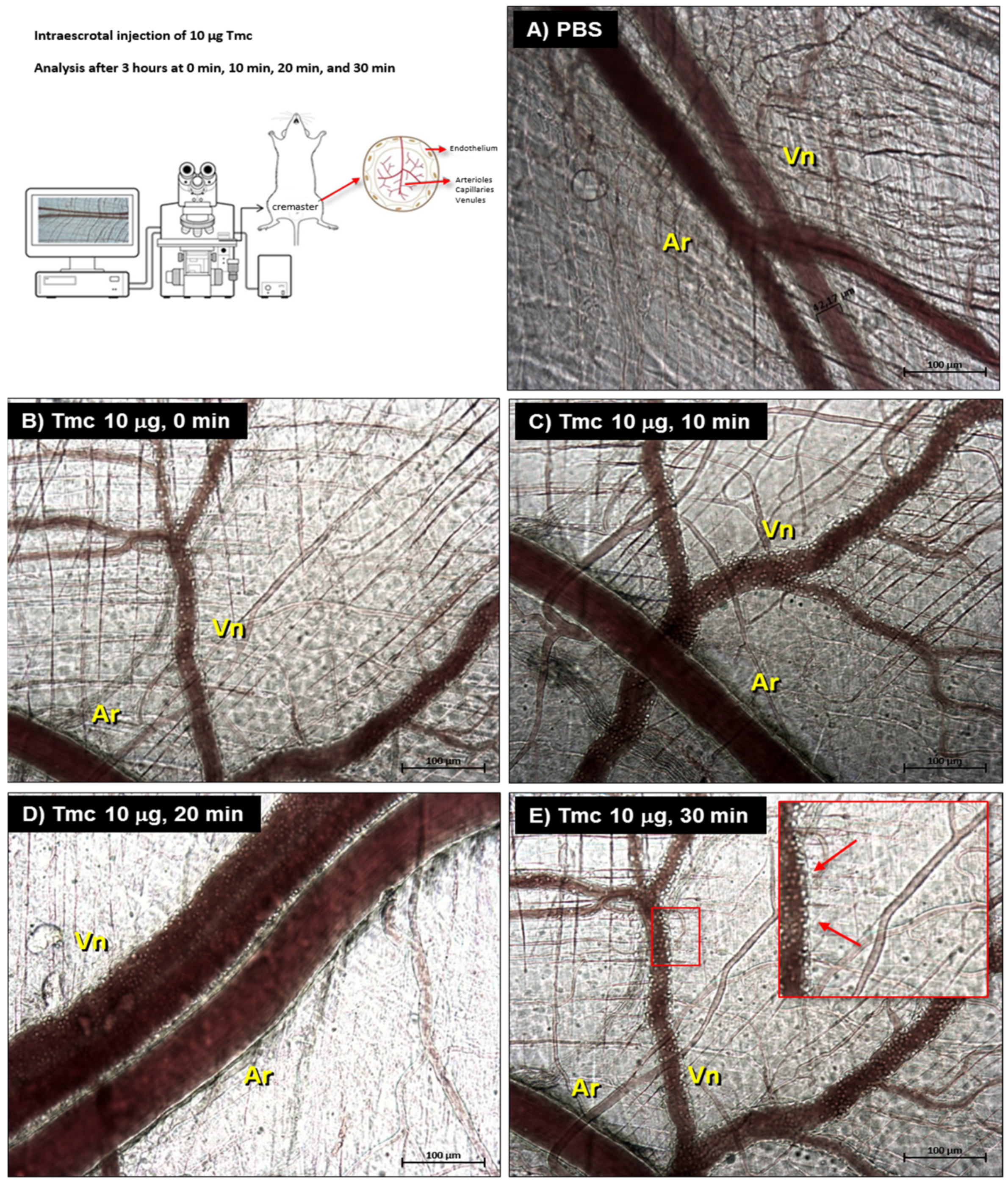Toxins 14 00002 g005