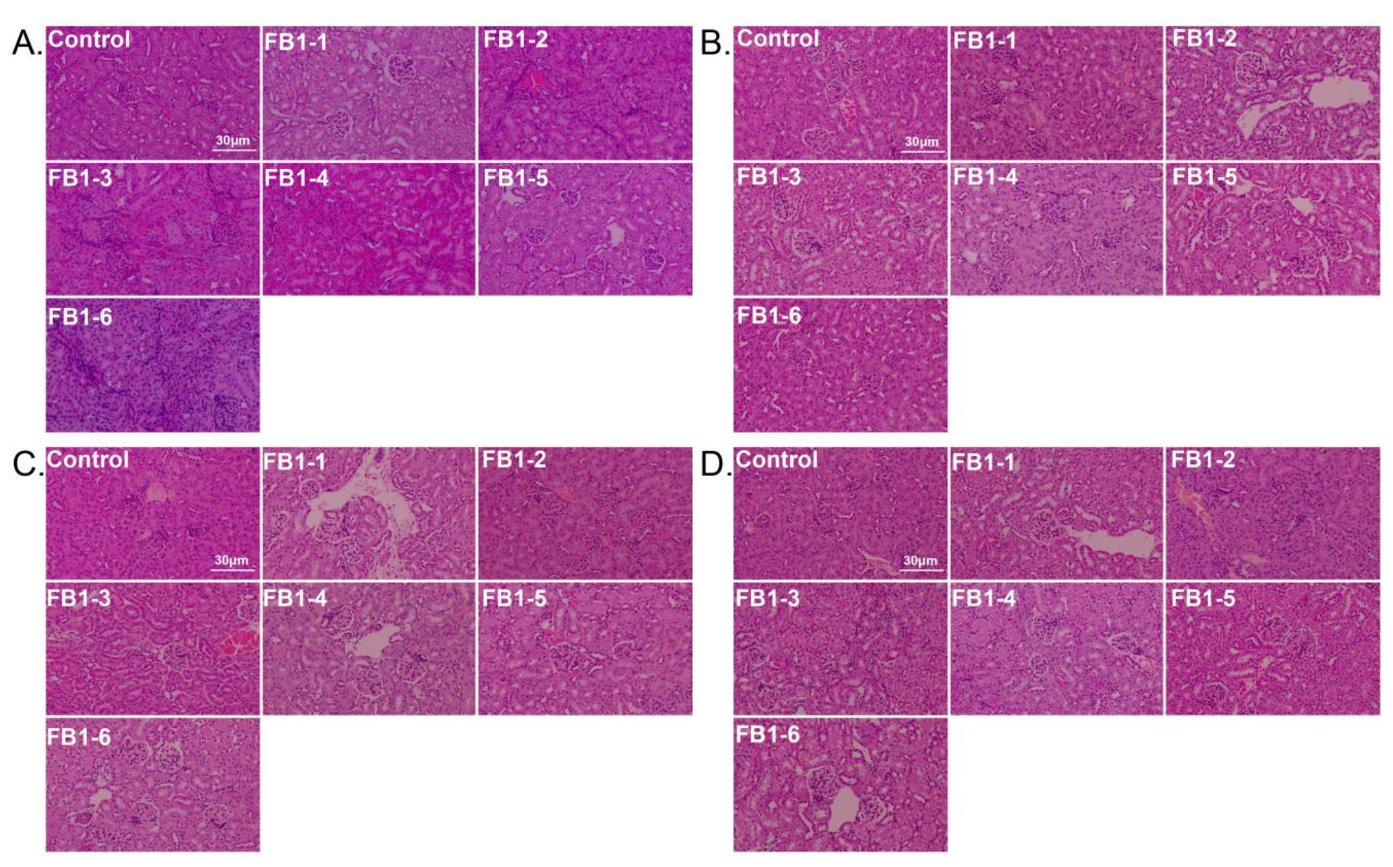 Toxins 14 00021 g008