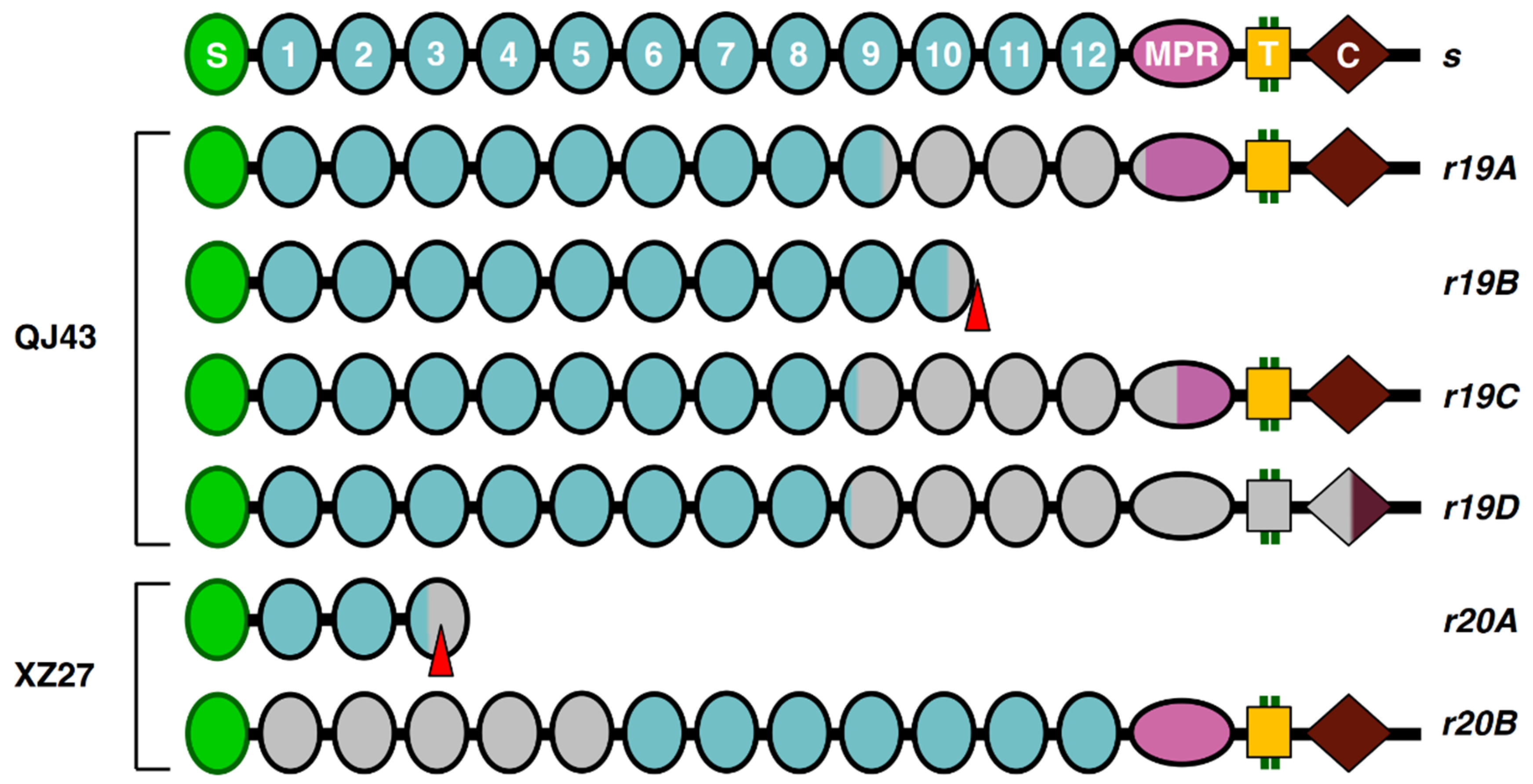 Toxins 14 00023 g002