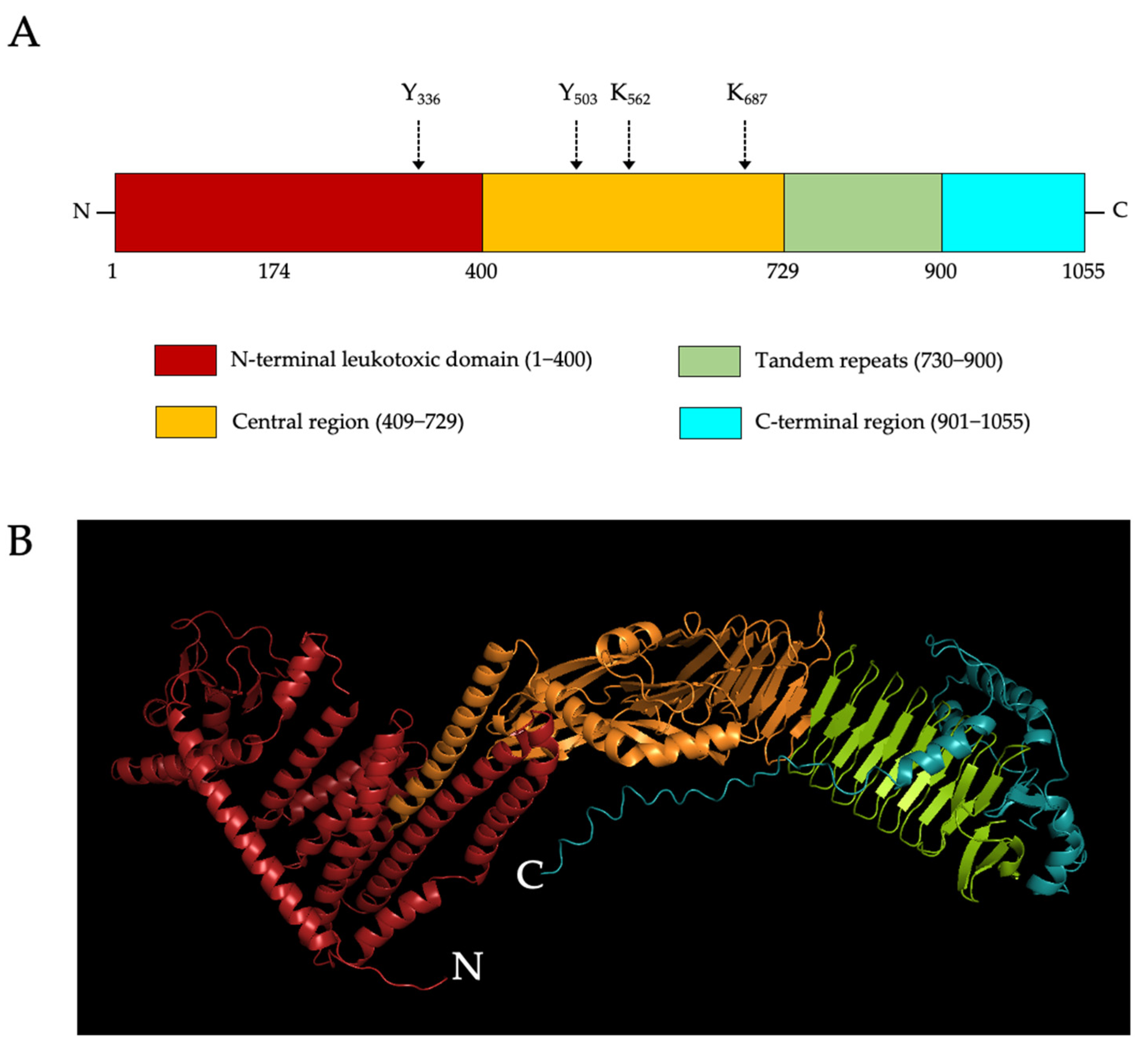 Toxins 14 00050 g001