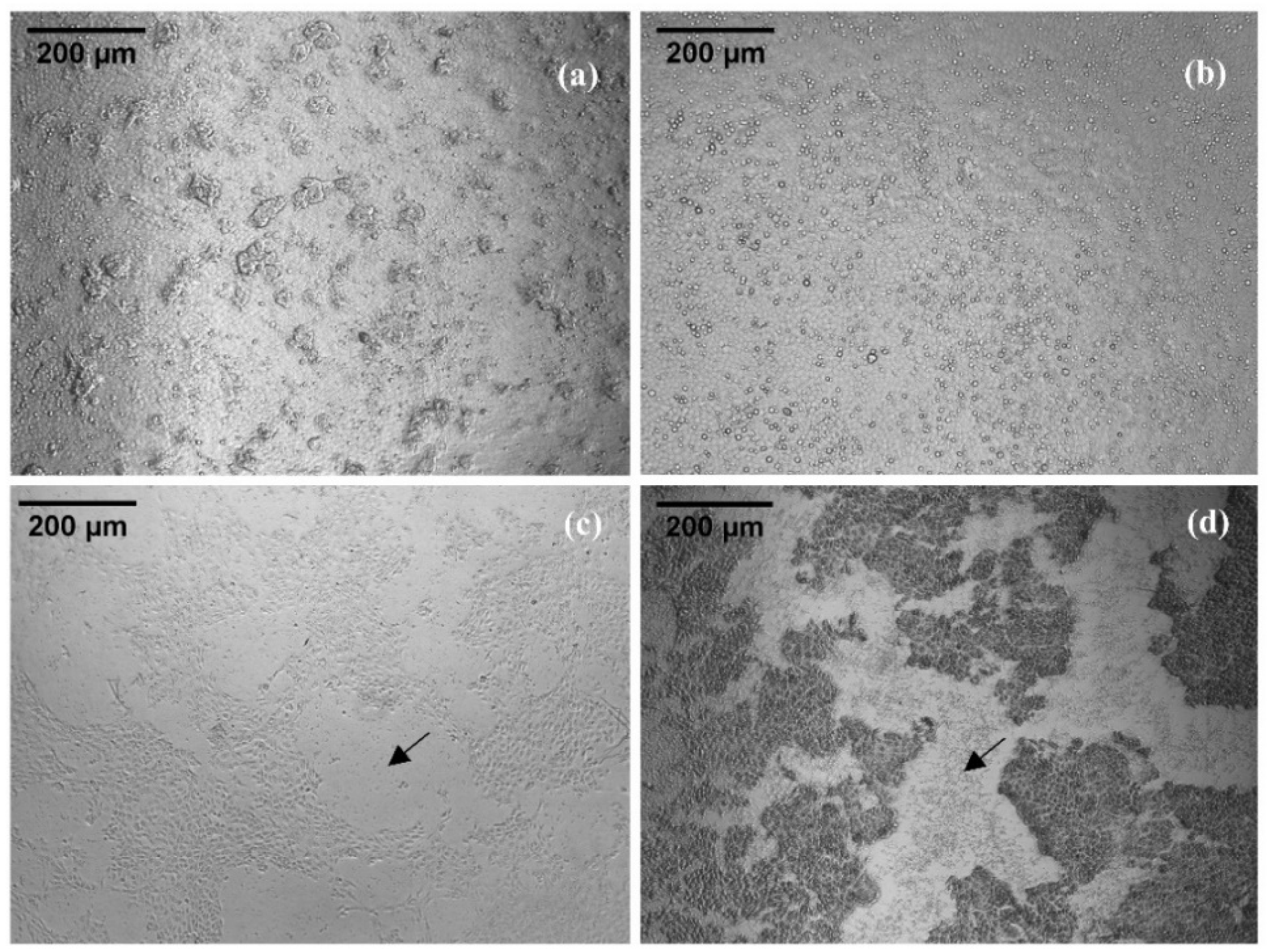 Toxins 14 00058 g004 Toxins 14 00058 g004
