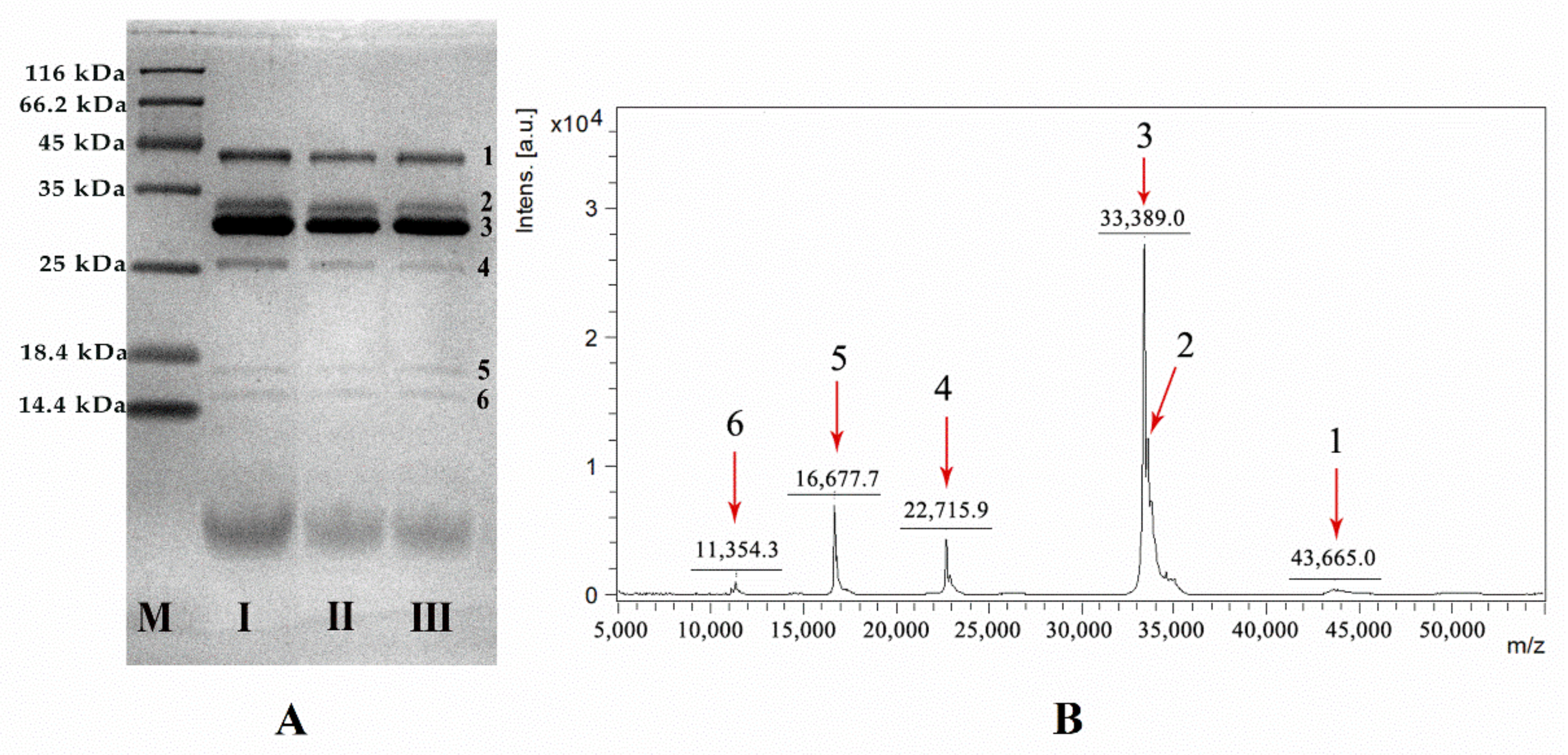 Toxins 14 00059 g001