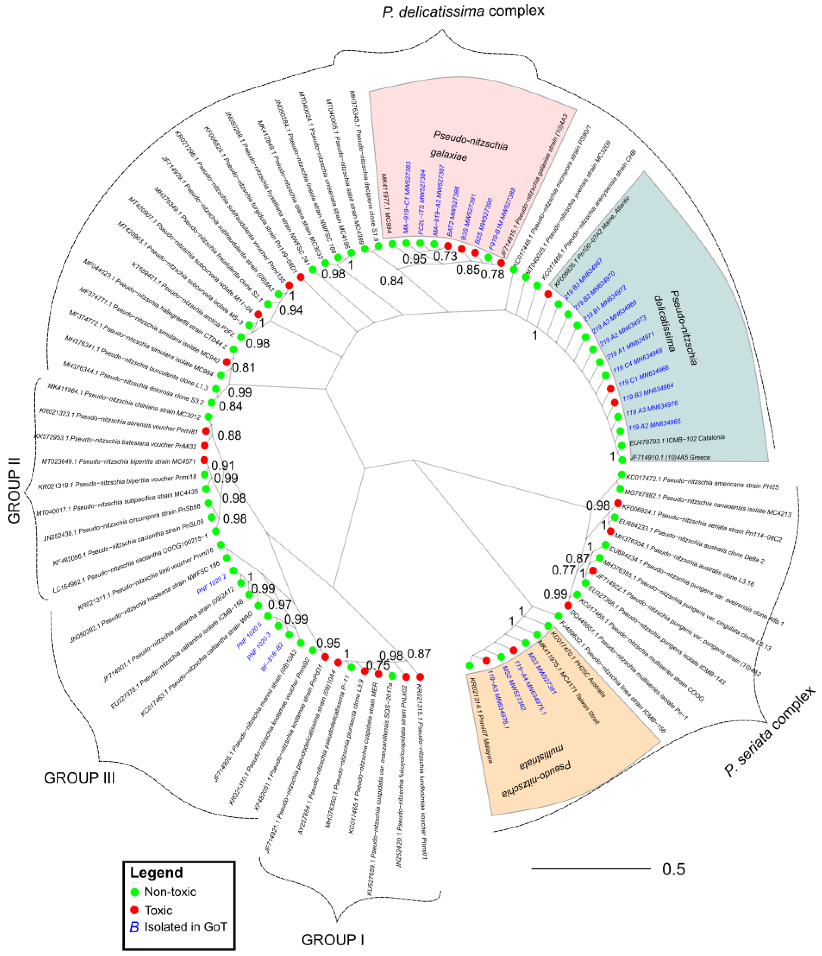 Toxins 14 00060 g002 Toxins 14 00060 g002