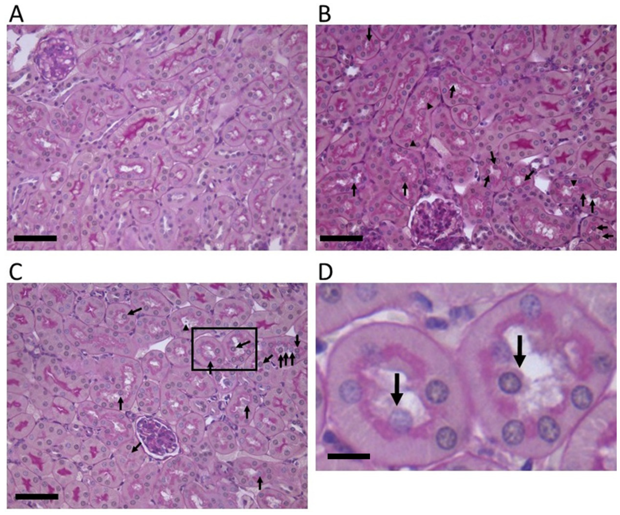 Toxins 14 00069 g001