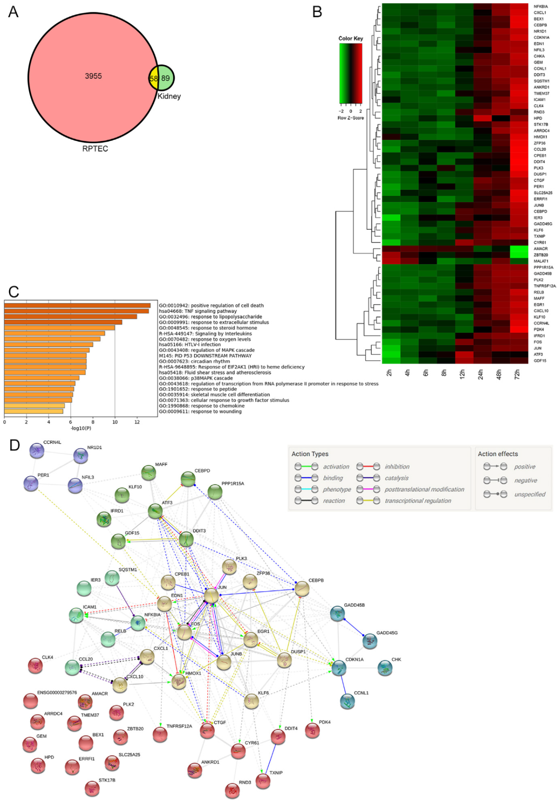 Toxins 14 00069 g004